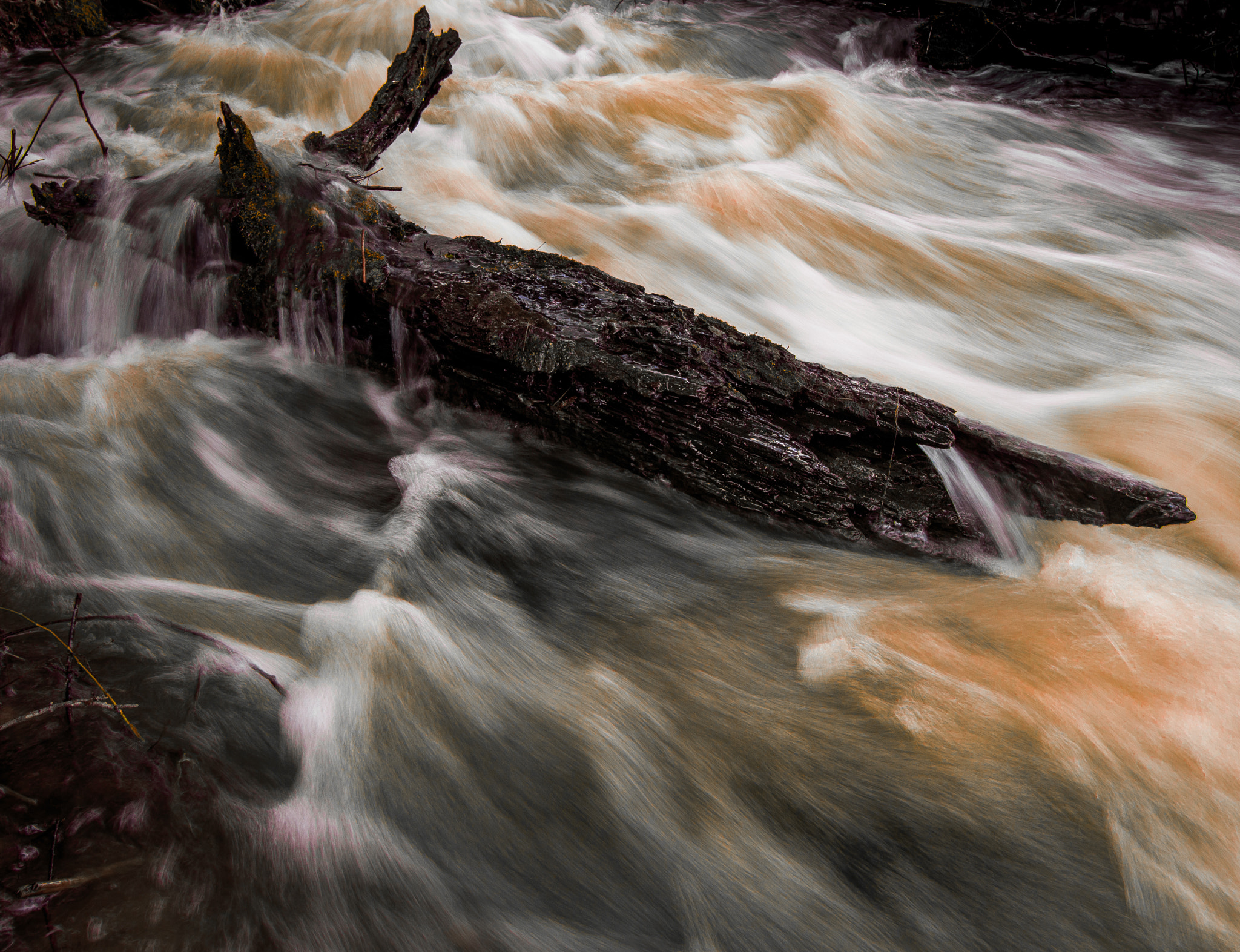 Canon EF-S 10-18mm F4.5–5.6 IS STM sample photo. Submerged photography