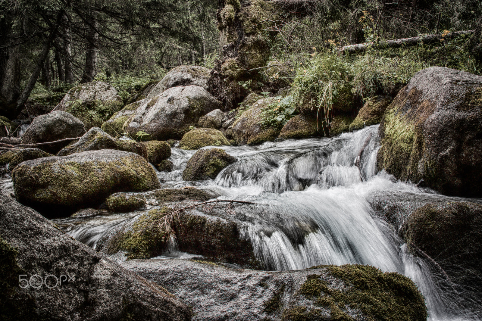 Sigma 30mm f/1.4 DC HSM sample photo. Waterfalls in the forest photography