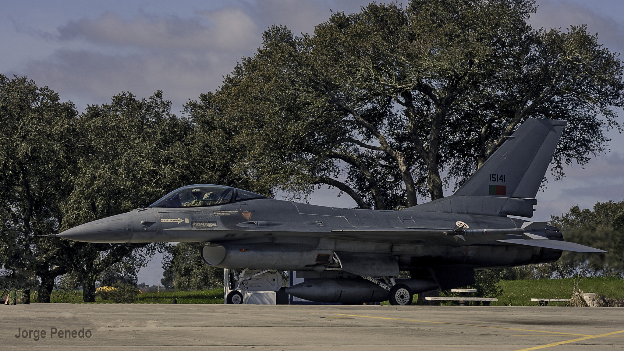 Sony Alpha DSLR-A390 + Sigma 30mm F1.4 EX DC HSM sample photo. Lockheed martin f-16 am - força aérea portuguesa photography