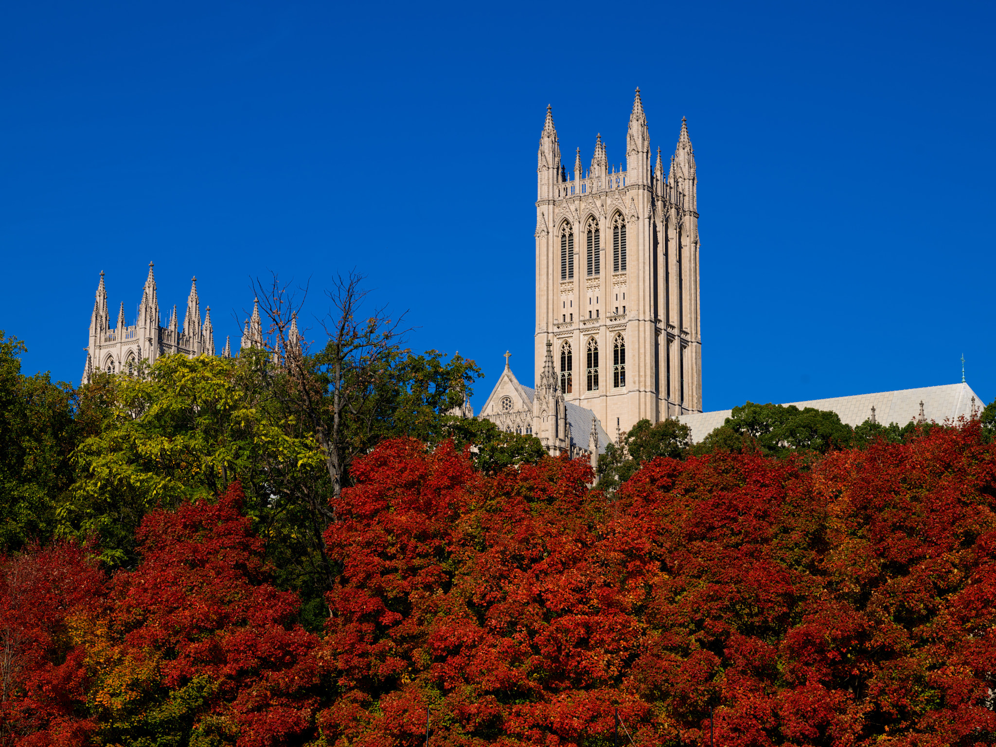Hasselblad H4D-40 sample photo. Washington national cathedral in the fall photography