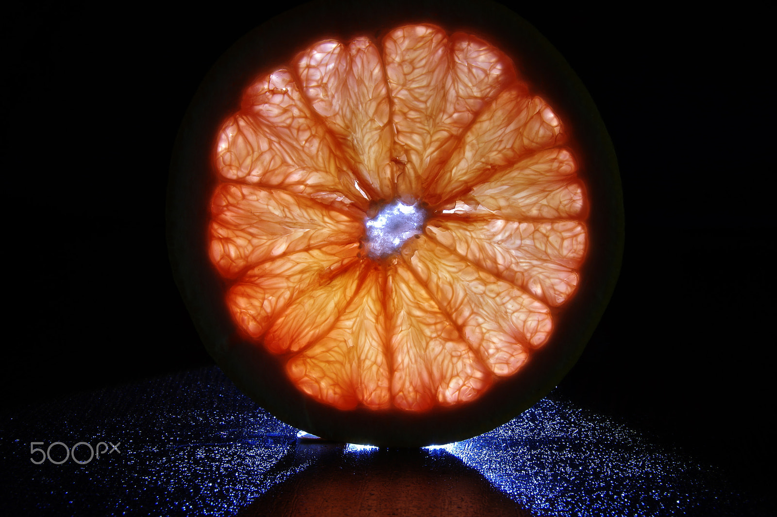 Sigma 18-250mm F3.5-6.3 DC Macro OS HSM sample photo. Grapefruit photography