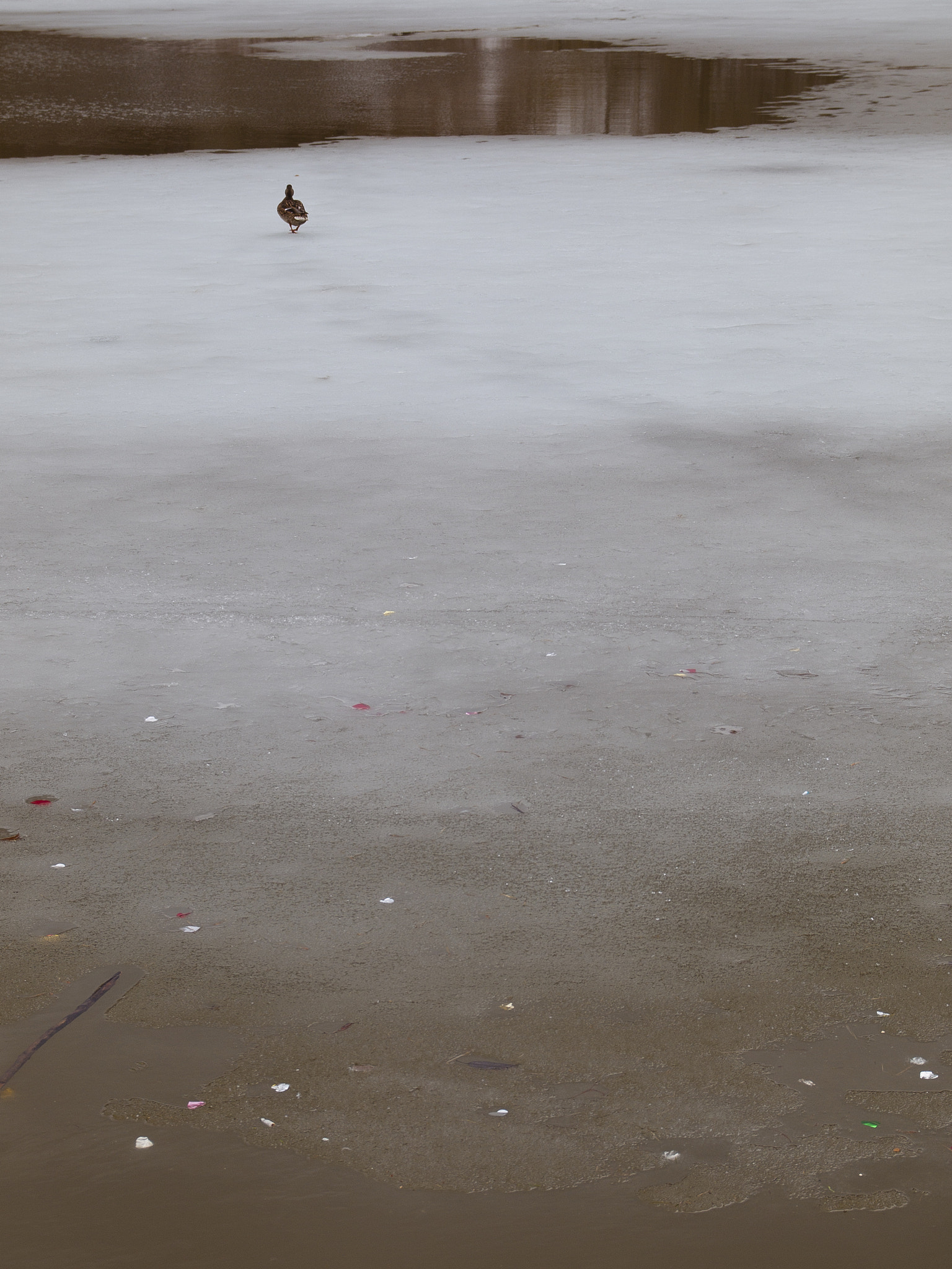 Olympus E-520 (EVOLT E-520) + SIGMA 18-50mm F2.8 DC sample photo. She doesn't live here anymore photography