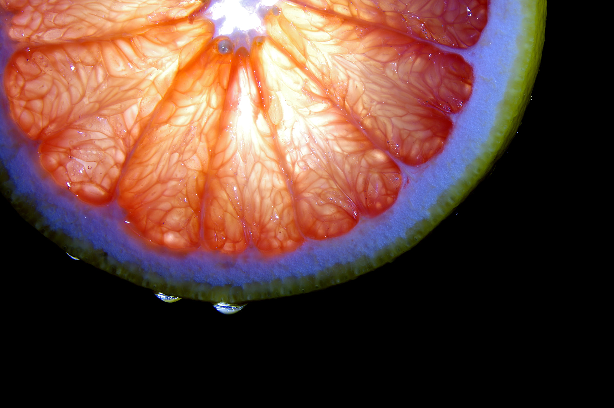 Sigma 18-250mm F3.5-6.3 DC Macro OS HSM sample photo. Grapefruit with drops photography