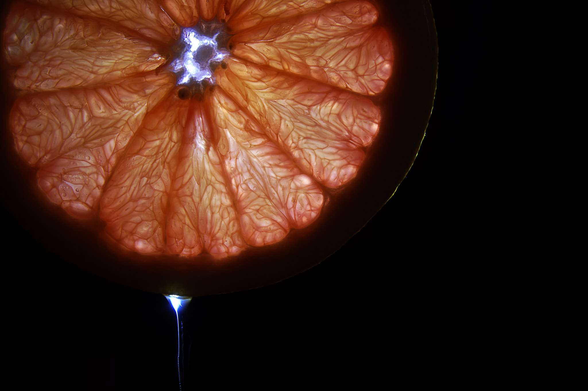 Pentax K-3 sample photo. Grapefruit and trickle photography