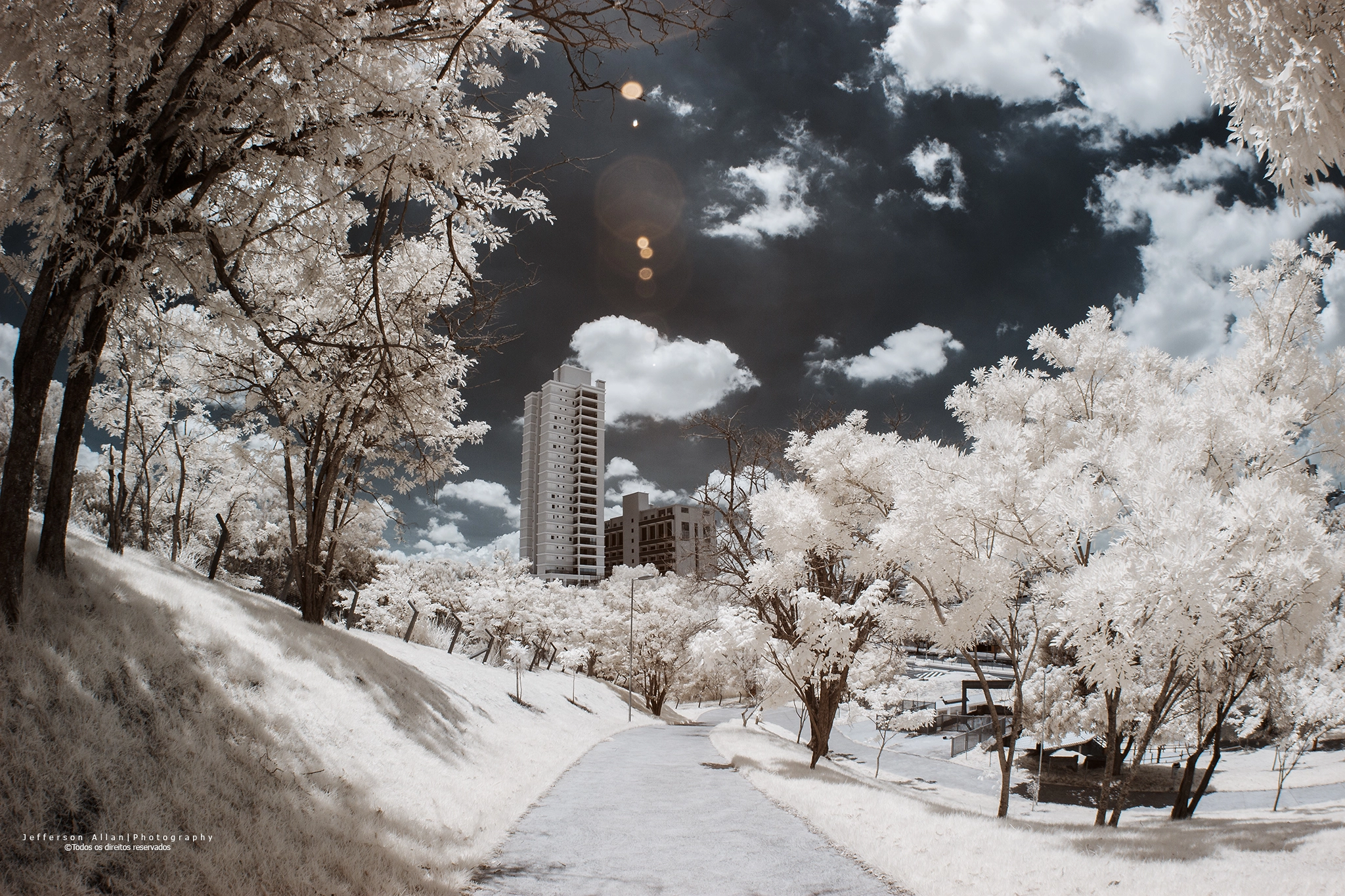 Canon EF 8-15mm F4L Fisheye USM sample photo. Infrared photography