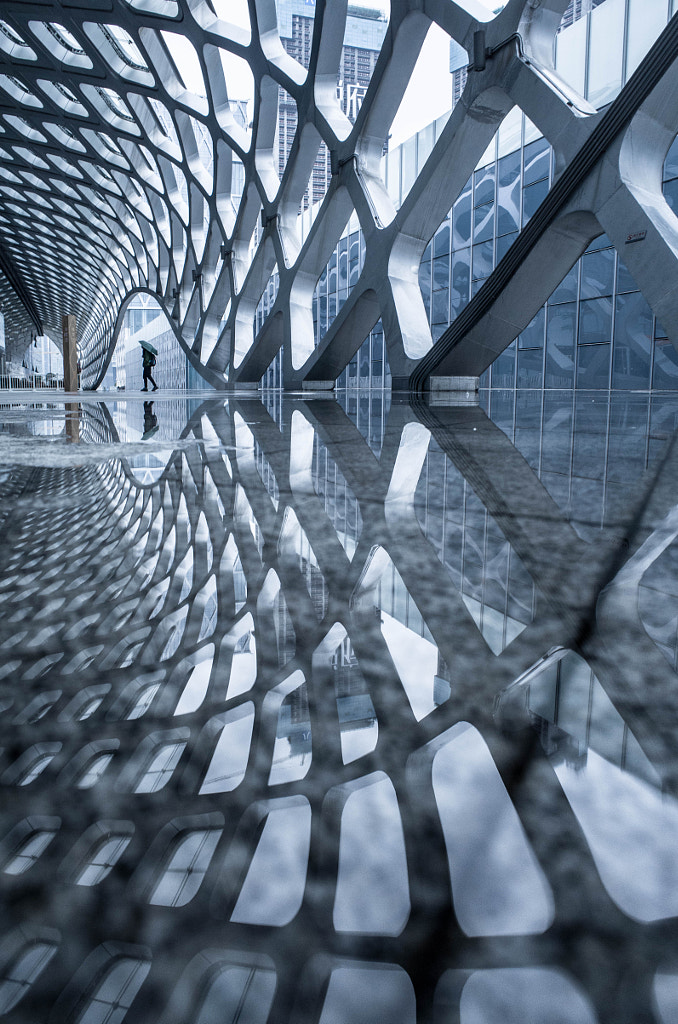 Curvilinear by Jennifer Bin on 500px