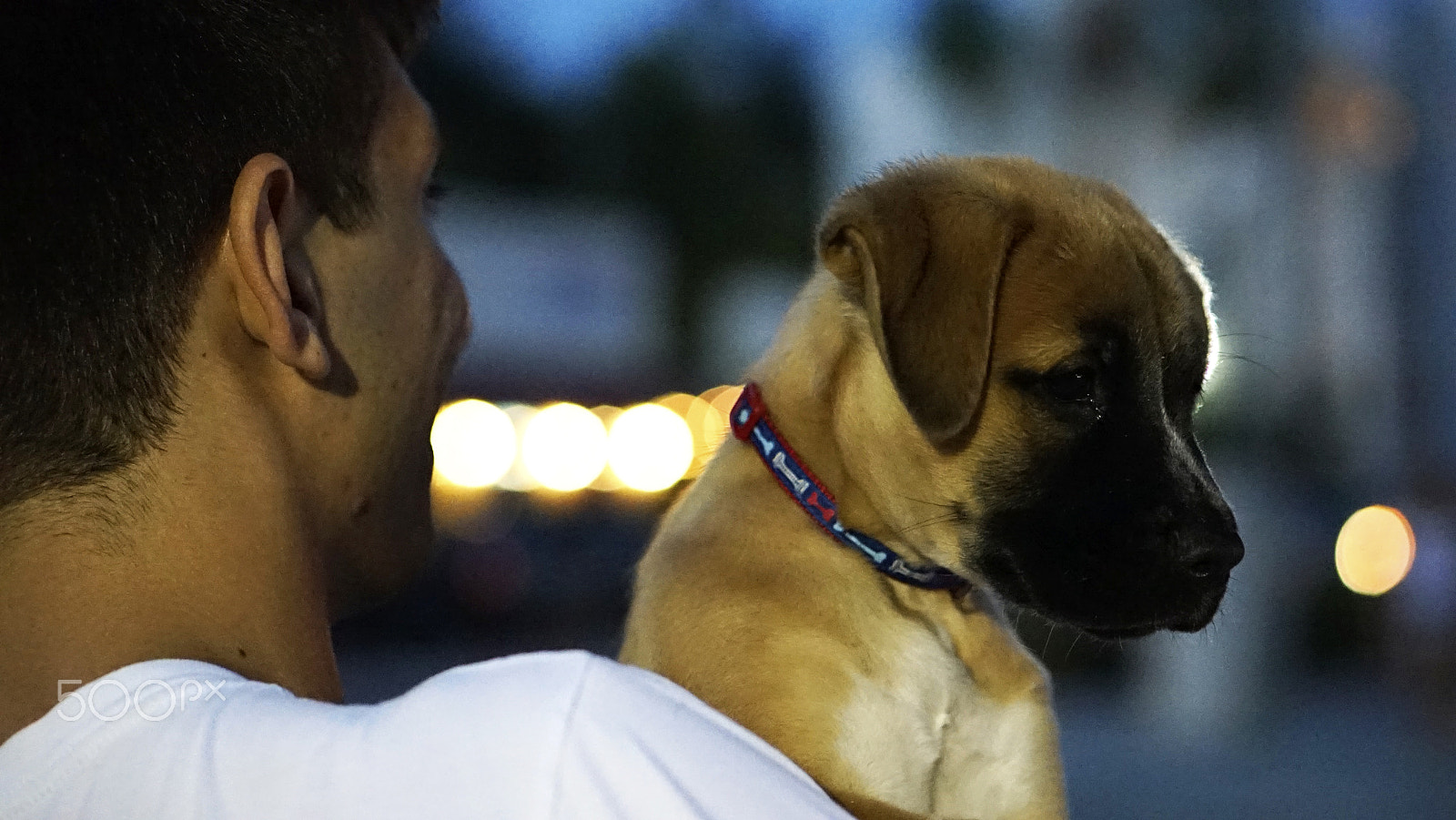 E 50mm F1.8 OSS sample photo. On loving shoulder photography