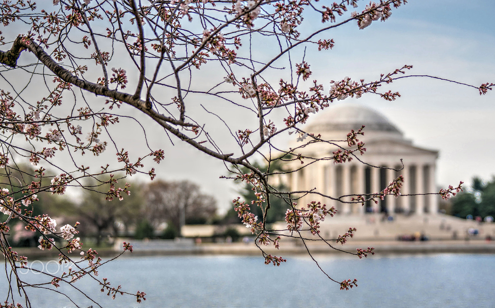 Sony ILCA-77M2 + Sony 70-200mm F2.8 G SSM II sample photo. 2016 jefferson memorial early spring photography