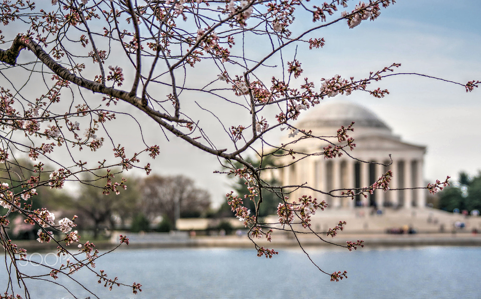 Sony 70-200mm F2.8 G SSM II sample photo. 2016 jefferson memorial early spring photography