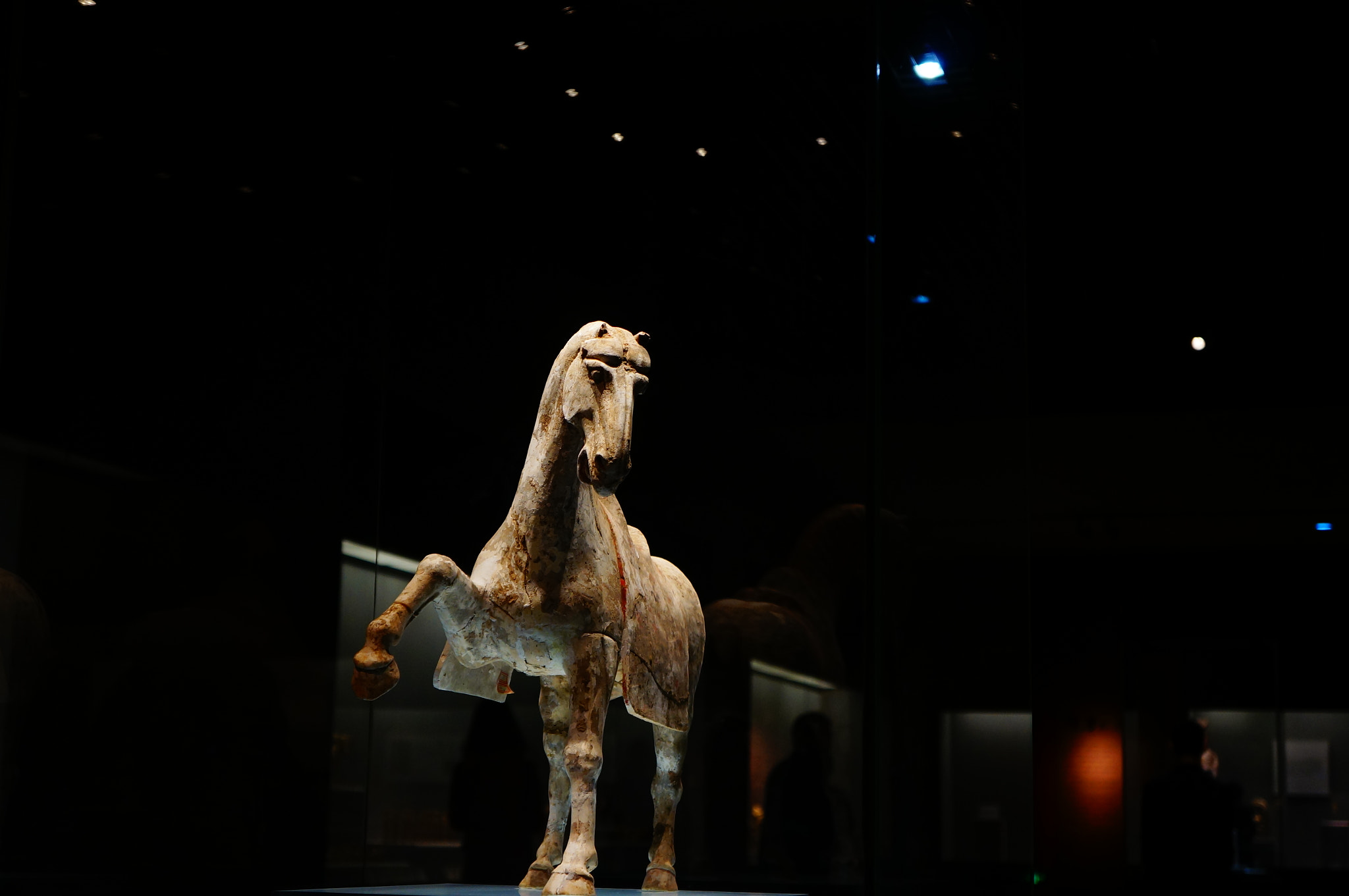 Sony E 18-55mm F3.5-5.6 OSS sample photo. Strong horse photography