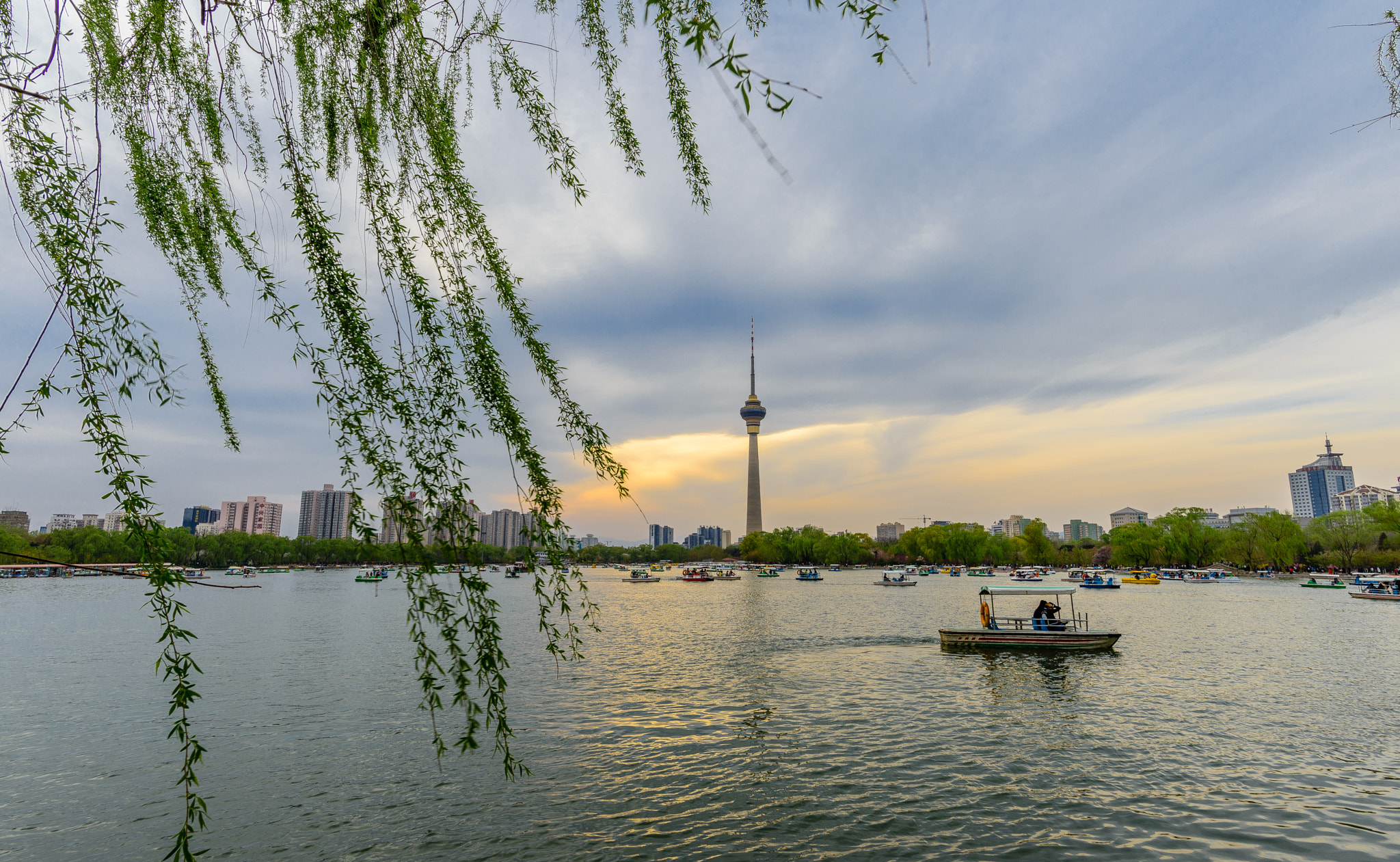 Nikon D800E + Nikon AF-S Nikkor 20mm F1.8G ED sample photo. Spring is coming! photography