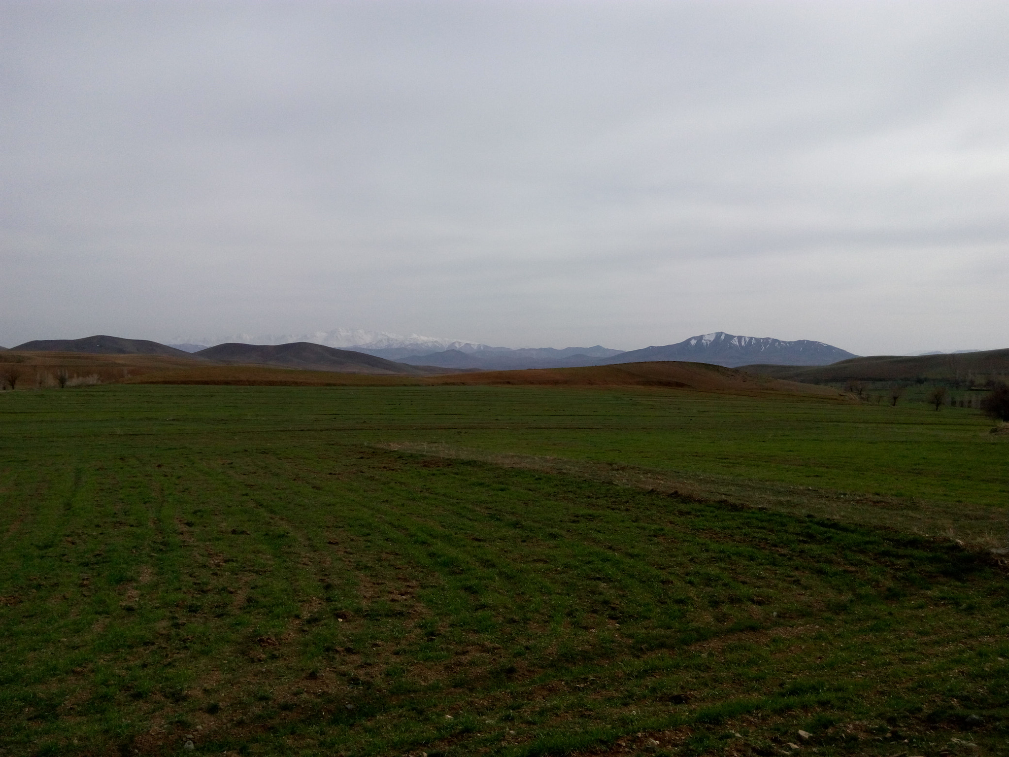 HTC DESIRE 816G DUAL SIM sample photo