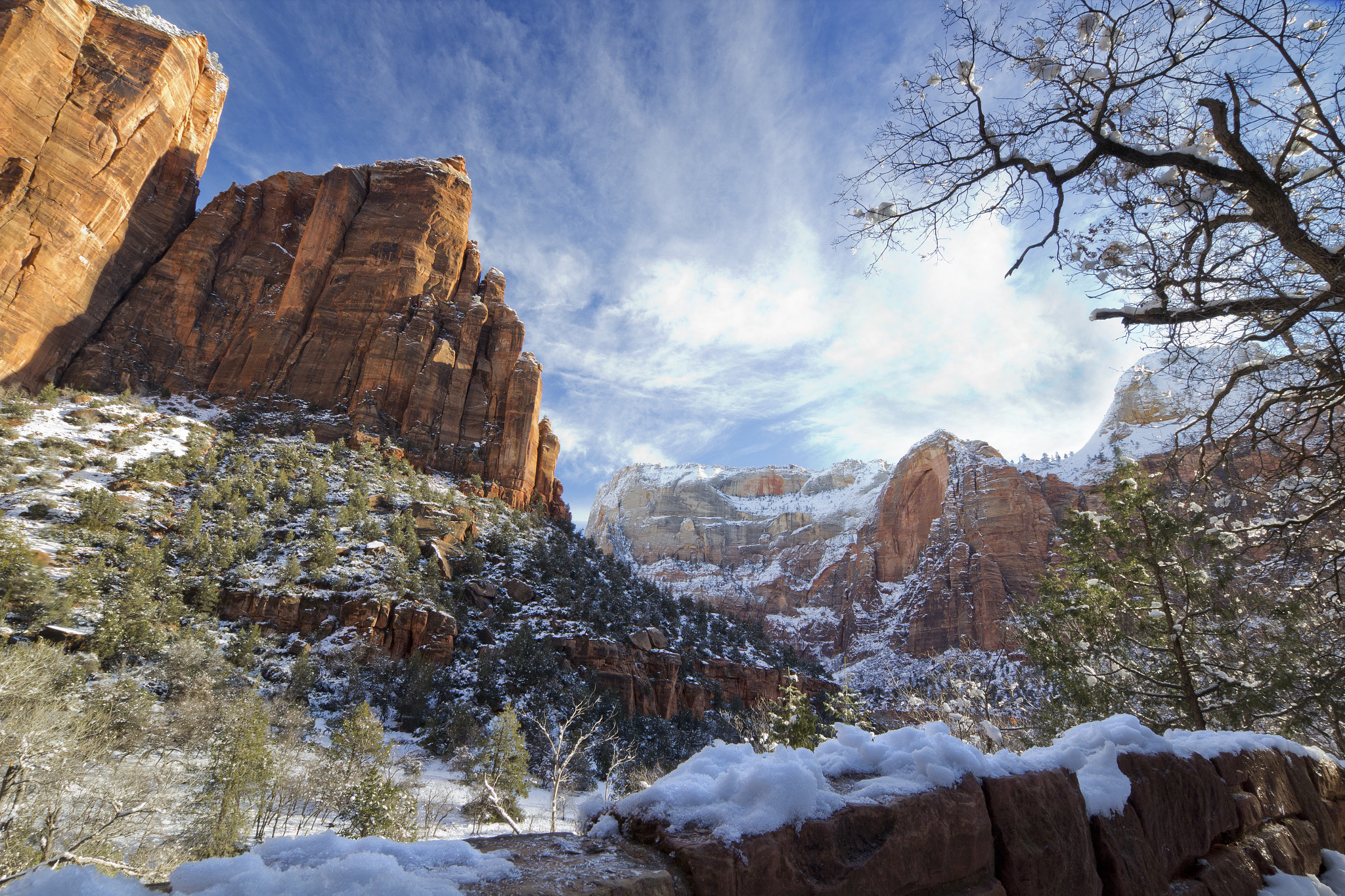 Sigma 10-20mm F3.5 EX DC HSM sample photo. Zion morning photography