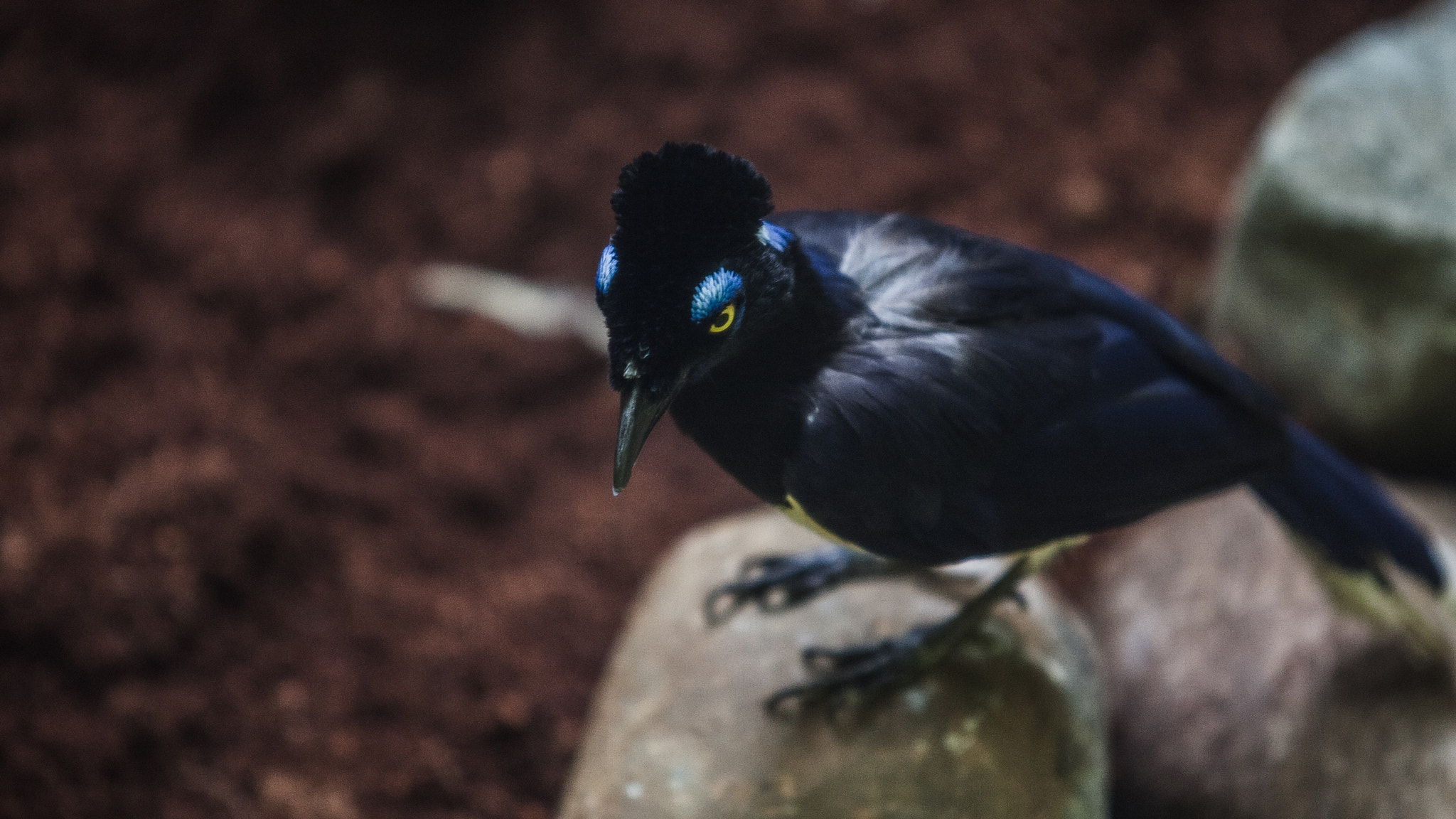 Canon EOS-1D Mark III sample photo. 9t8t1799.jpg photography