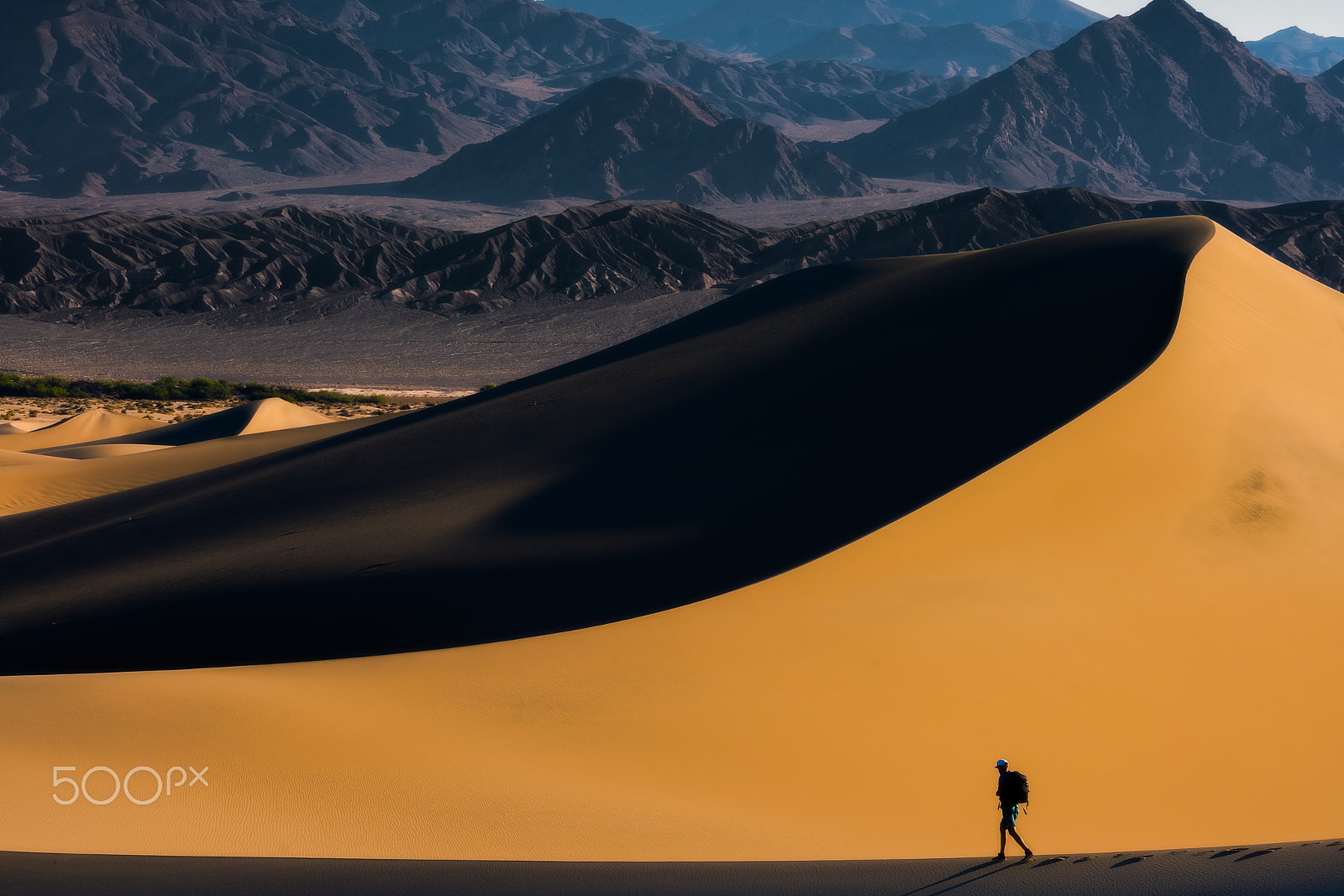 150-600mm F5-6.3 OSS sample photo. Death valley morning contrast drew walking yellow photography
