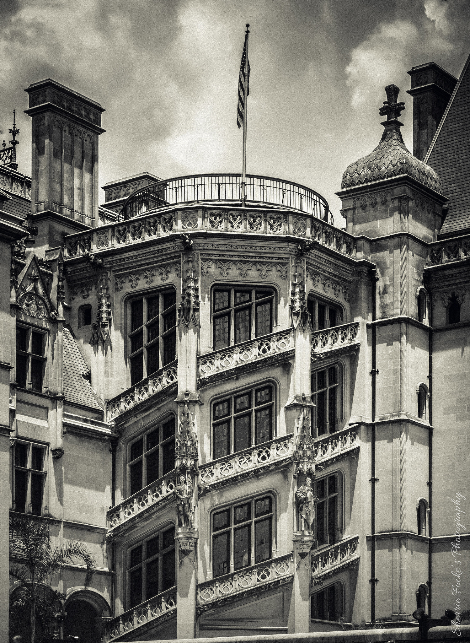 Canon EF 24-70mm F2.8L II USM sample photo. Biltmore estate windows photography