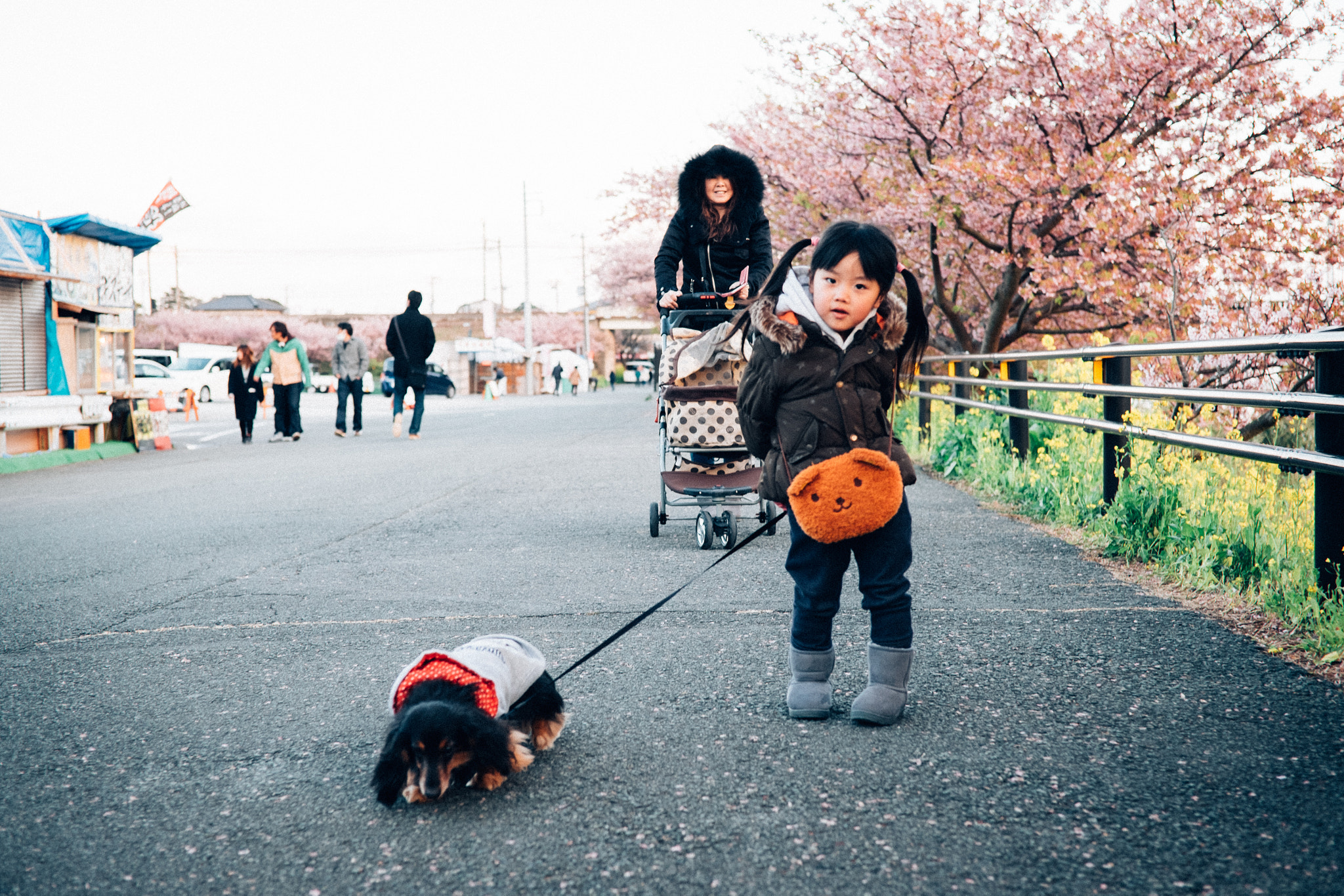 ZEISS Touit 32mm F1.8 sample photo. Walk with dog photography