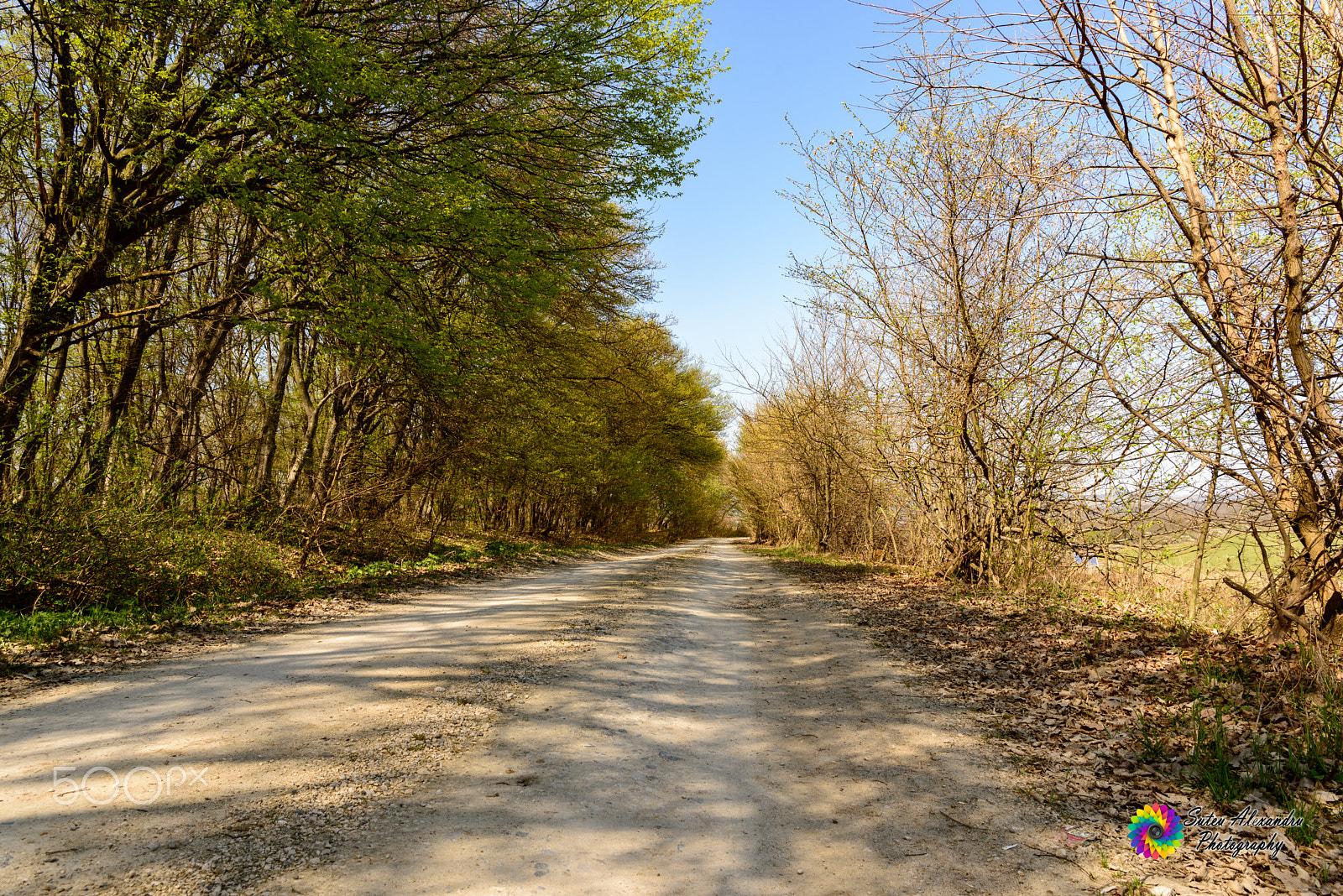 Nikon AF-S Nikkor 24-70mm F2.8E ED VR sample photo. Liziera inmugurită photography