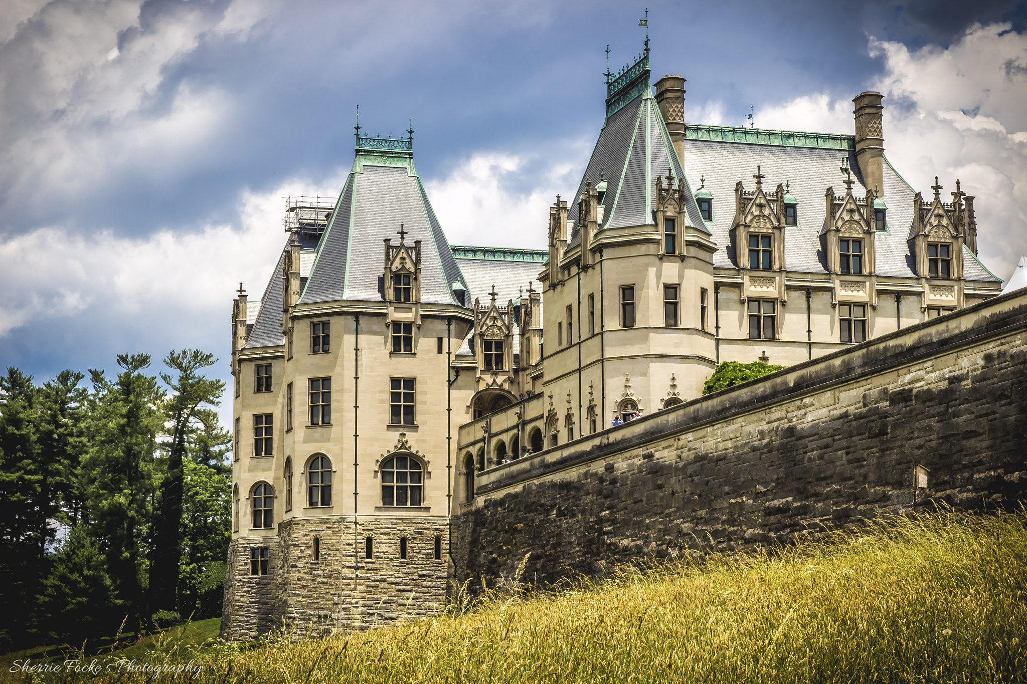 Canon EF 24-70mm F2.8L II USM sample photo. Biltmore estate back photography