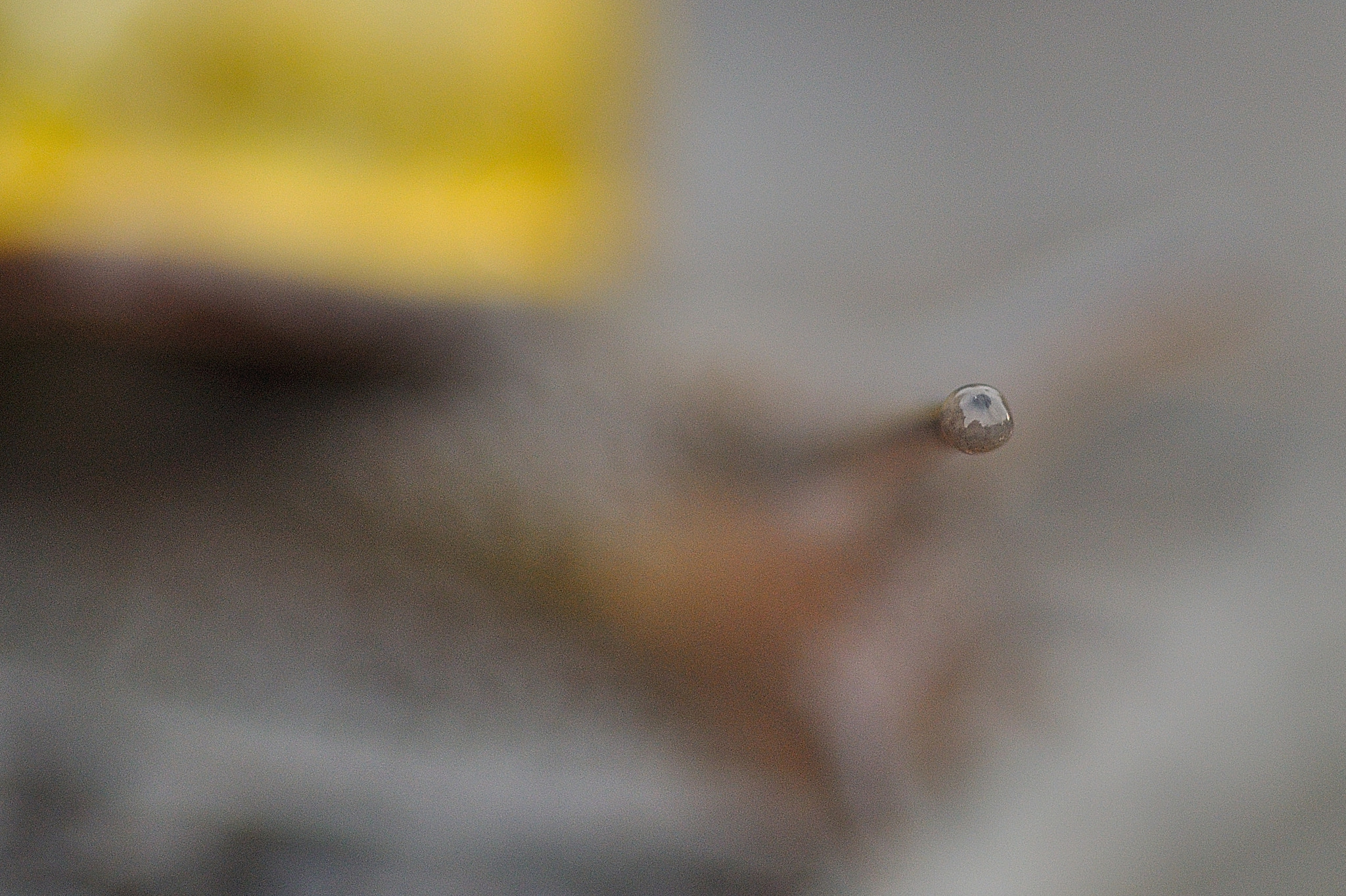 Tamron SP AF 90mm F2.8 Di Macro sample photo. Snails' eye photography