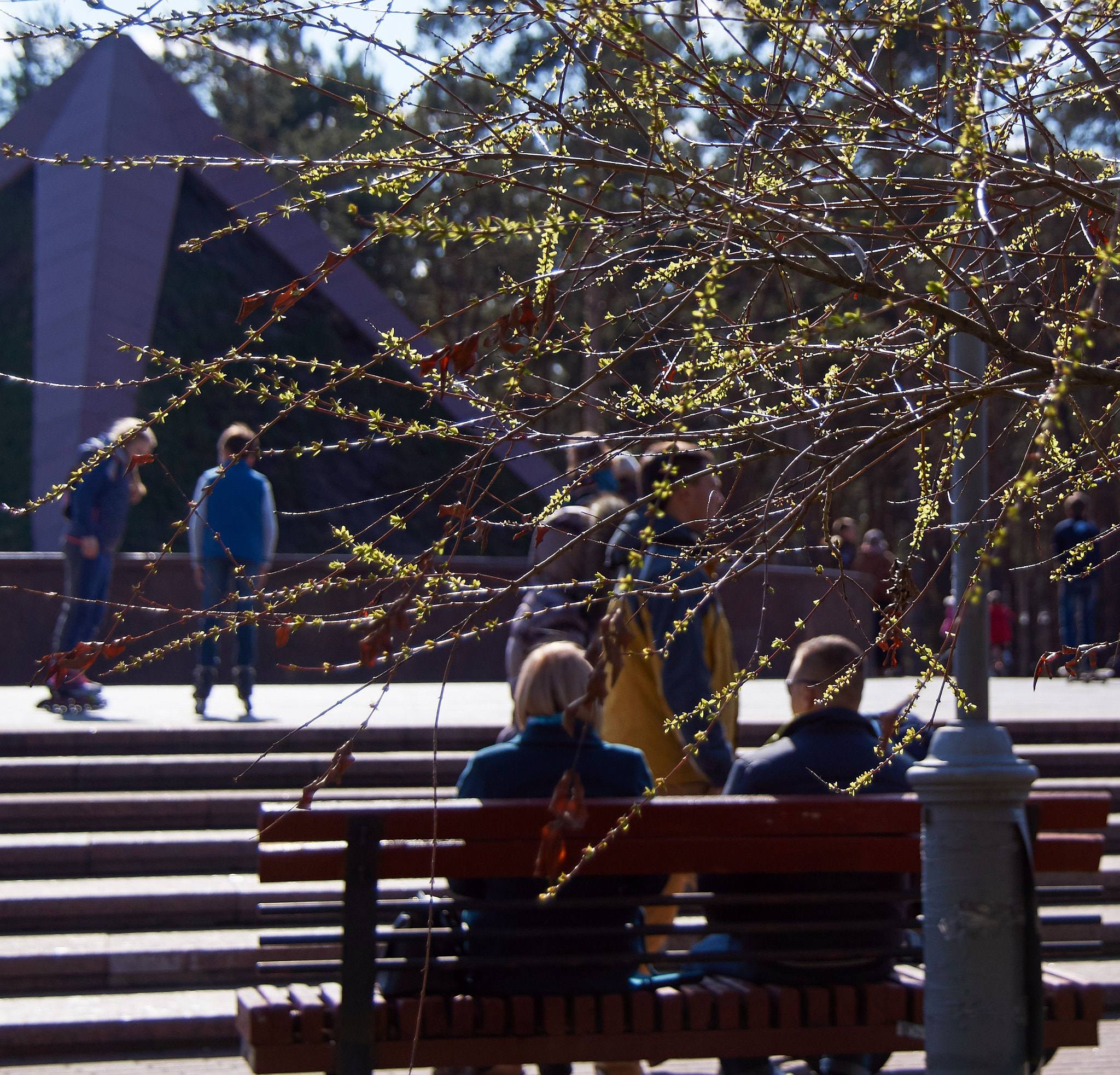 Sony SLT-A37 sample photo. Sunny day photography