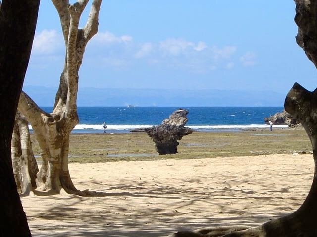 Sony DSC-P10 sample photo. Spiaggia di bali photography