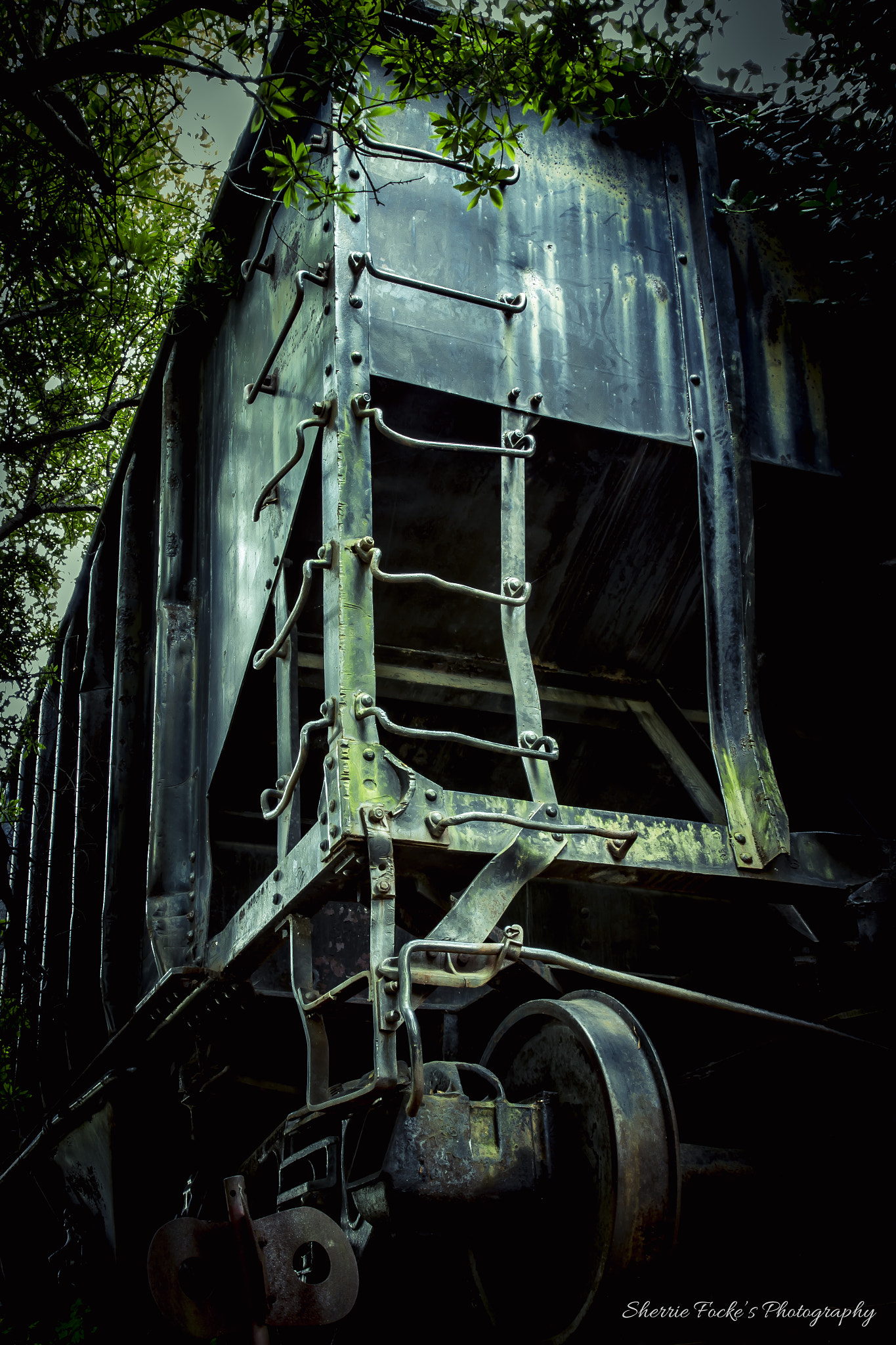 Canon EF 24-70mm F2.8L II USM sample photo. Mcgill rose garden forgotten train photography