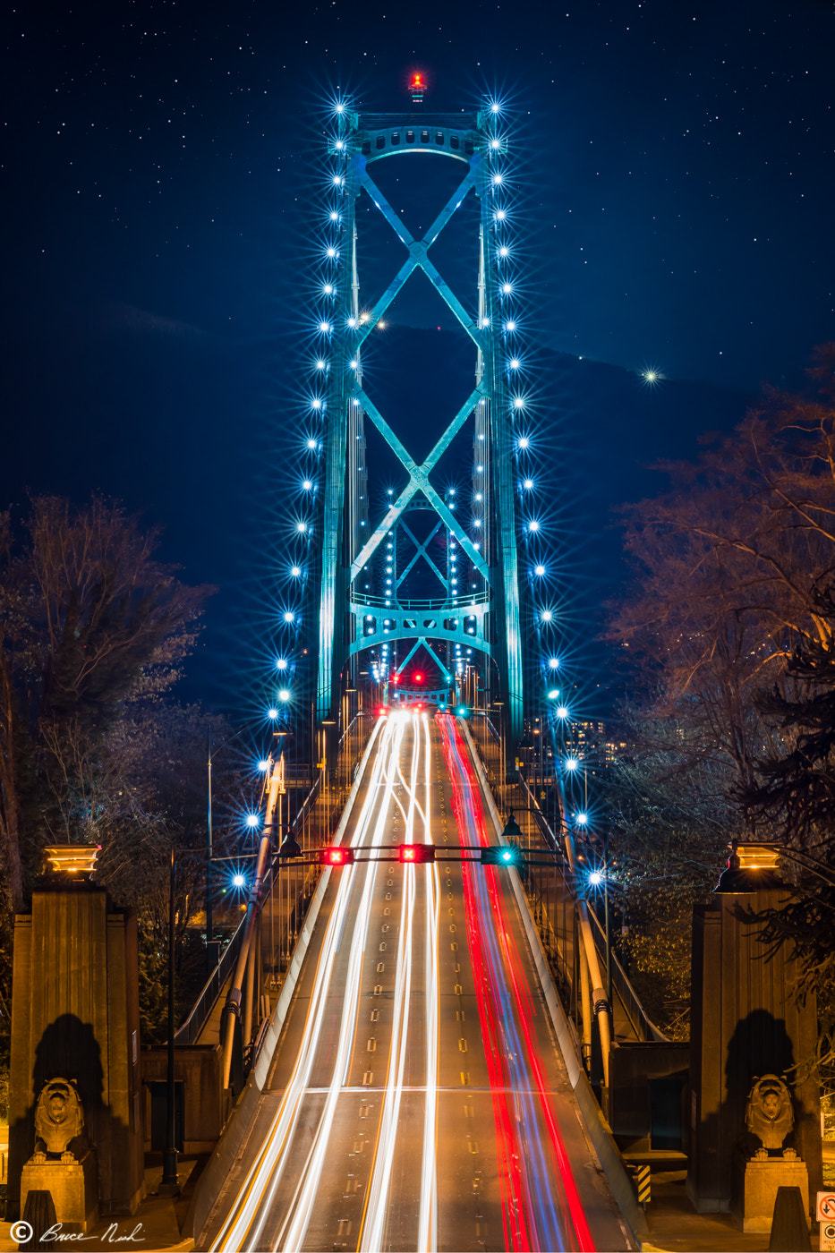 Nikon D810 + ZEISS Otus 55mm F1.4 sample photo. Lions gate bridge photography