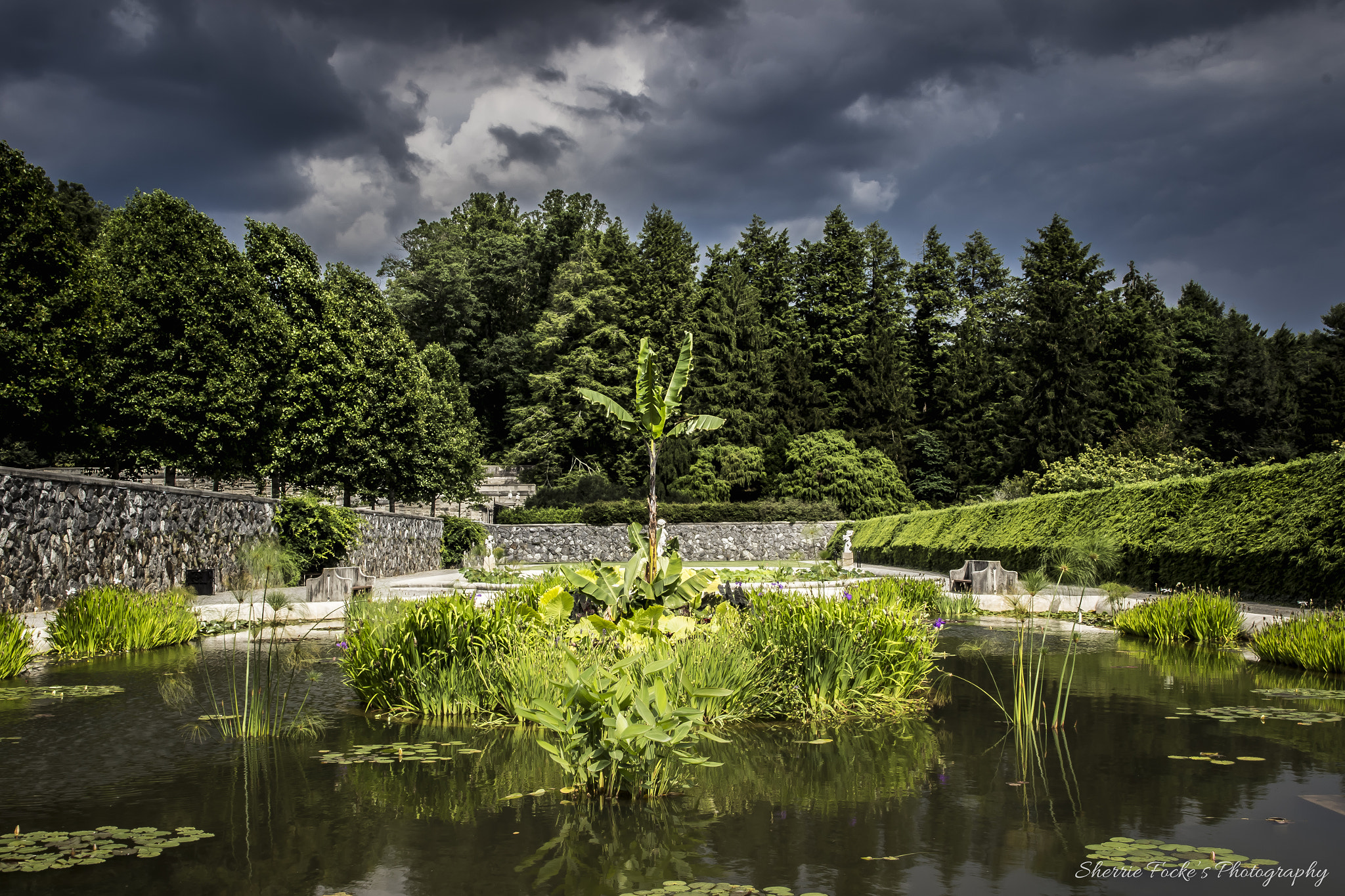 Canon EF 24-70mm F2.8L II USM sample photo. Biltmore estate reflecting pool photography