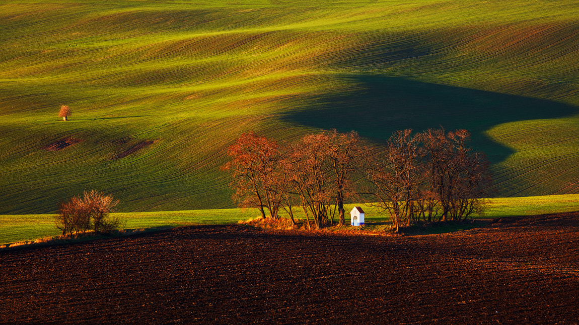 Canon EOS 5DS R + Canon EF 70-300mm F4-5.6L IS USM sample photo. Chapel in the fields photography
