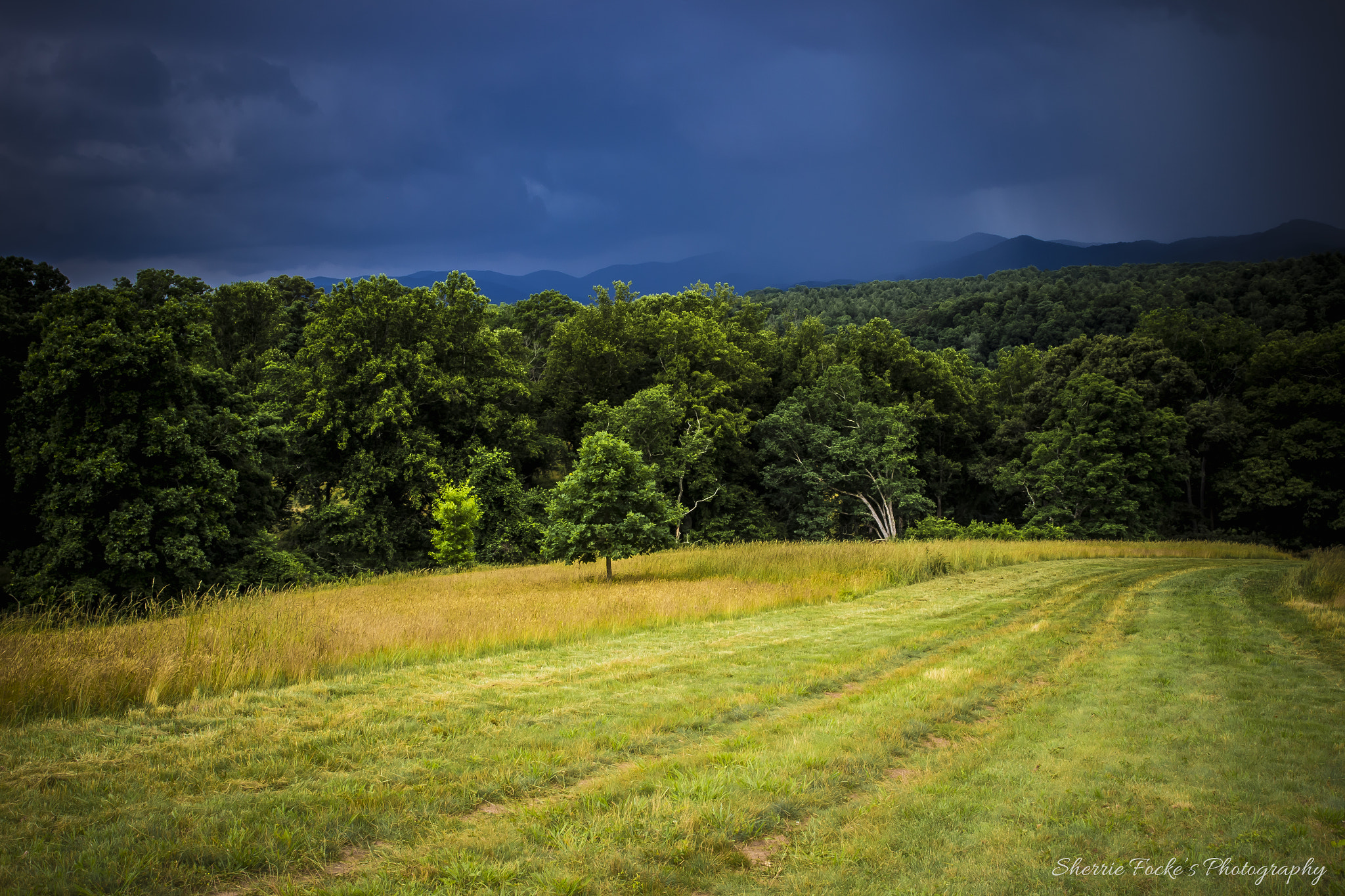 Canon EF 24-70mm F2.8L II USM sample photo. Biltmore back storm photography