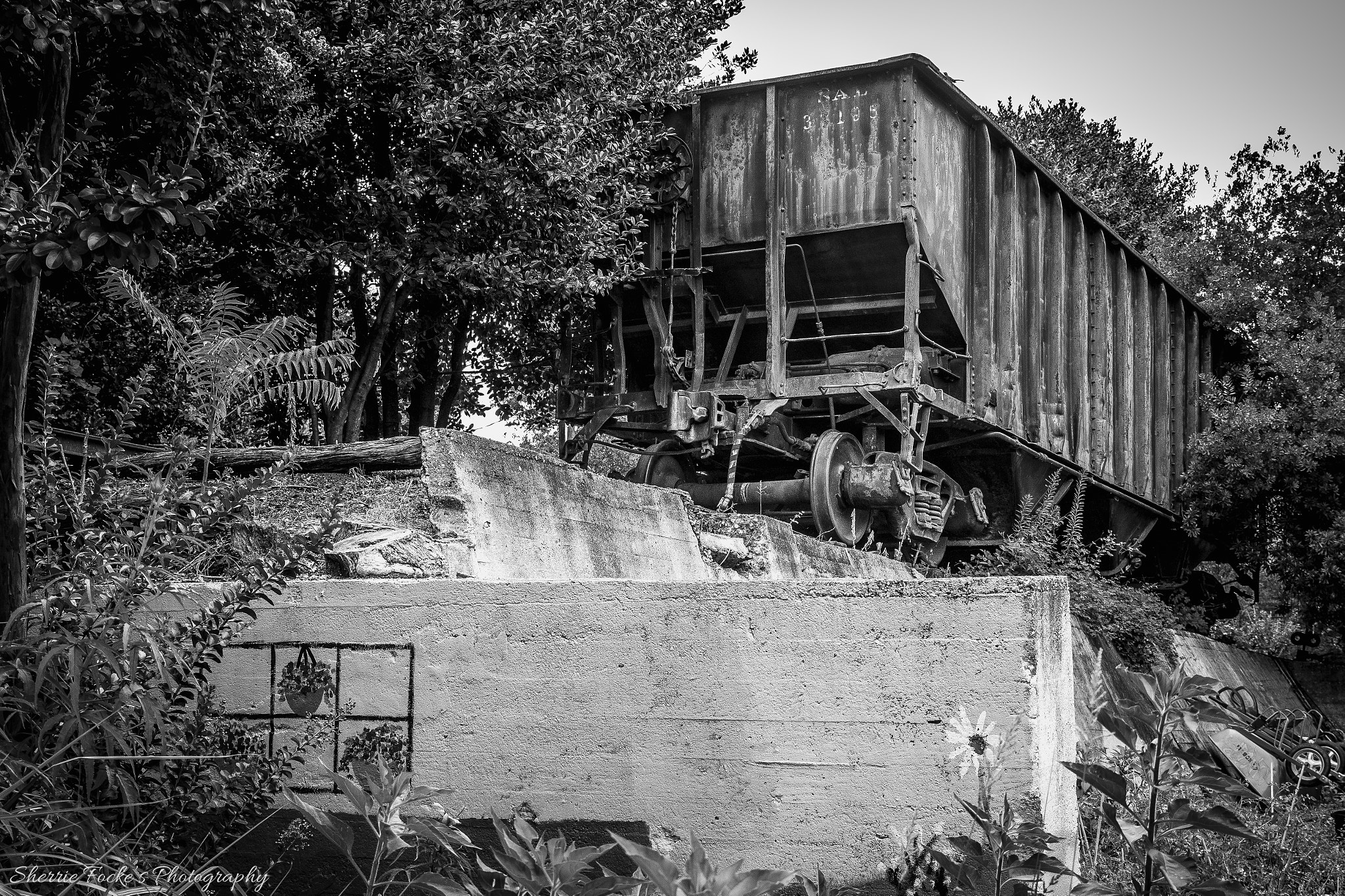 Canon EF 24-70mm F2.8L II USM sample photo. Abandoned train wall side photography