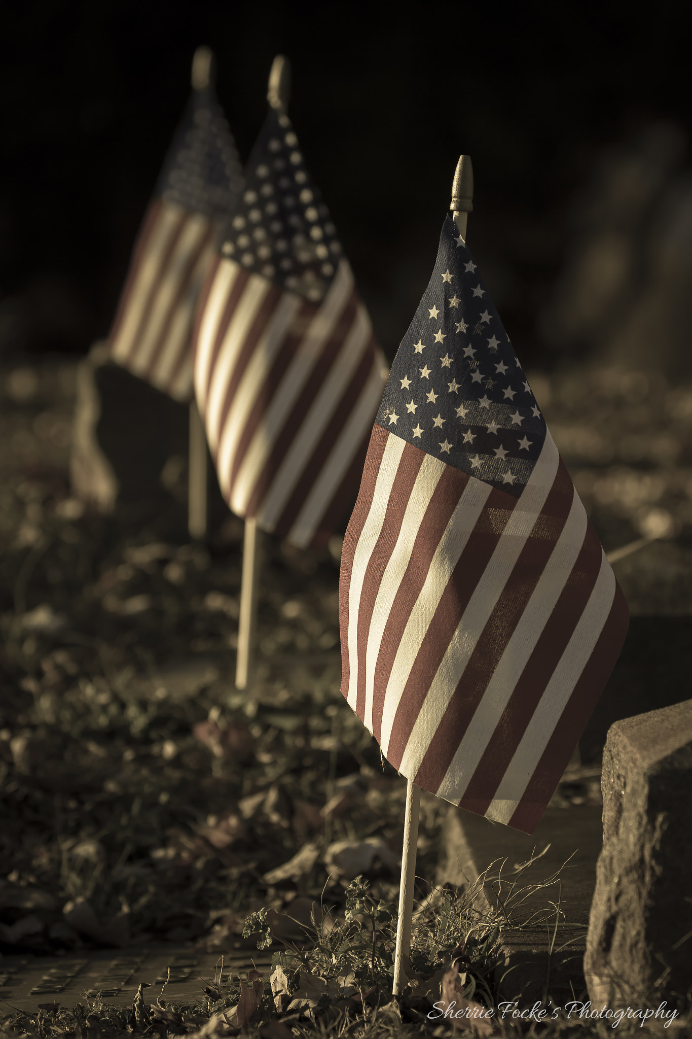 Canon EF 70-300mm F4-5.6L IS USM sample photo. Veteran's flags elmwood cemetary photography