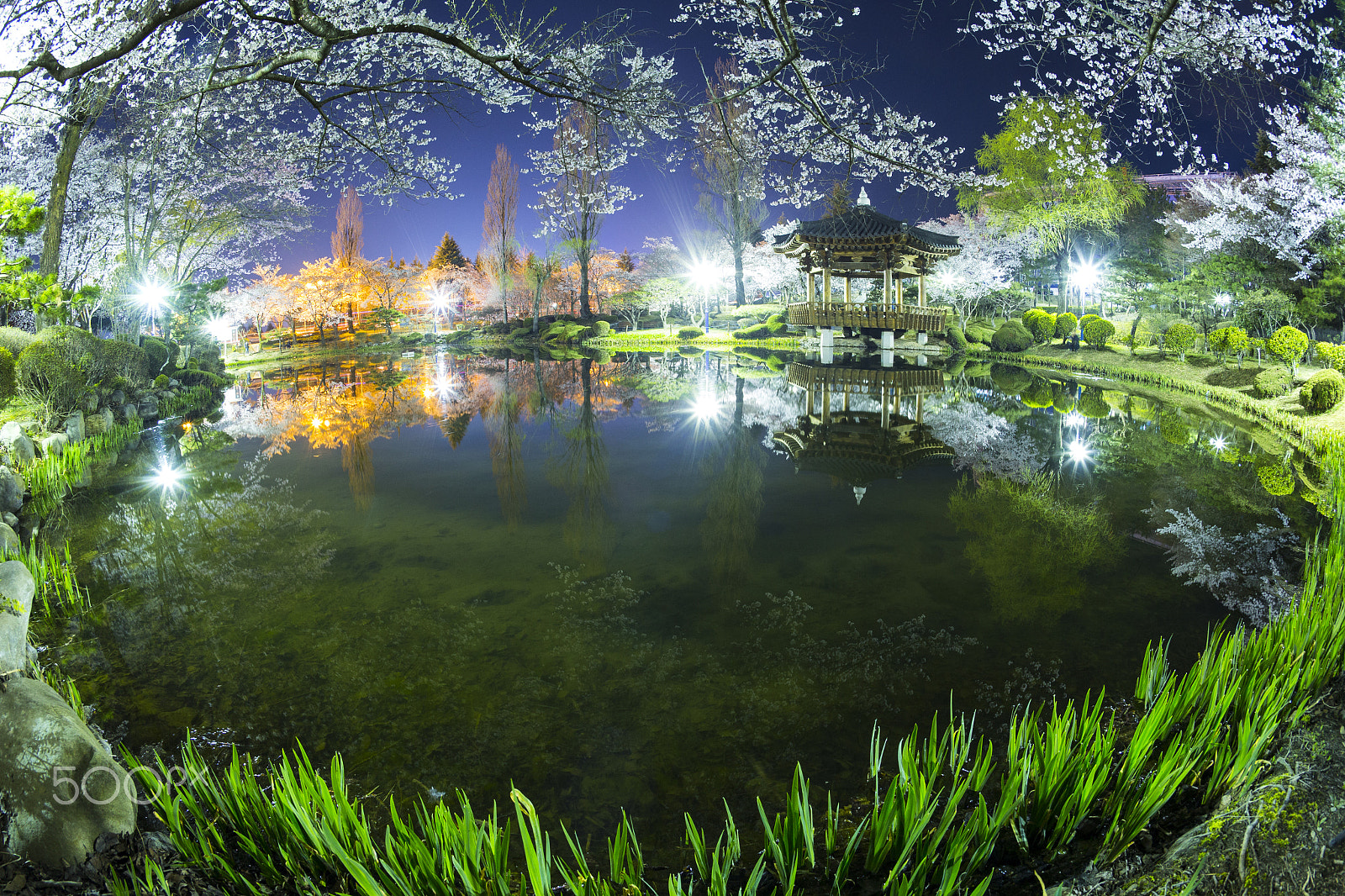 Canon EOS 6D + Canon EF 15mm F2.8 Fisheye sample photo. Bomoon-jung pond photography