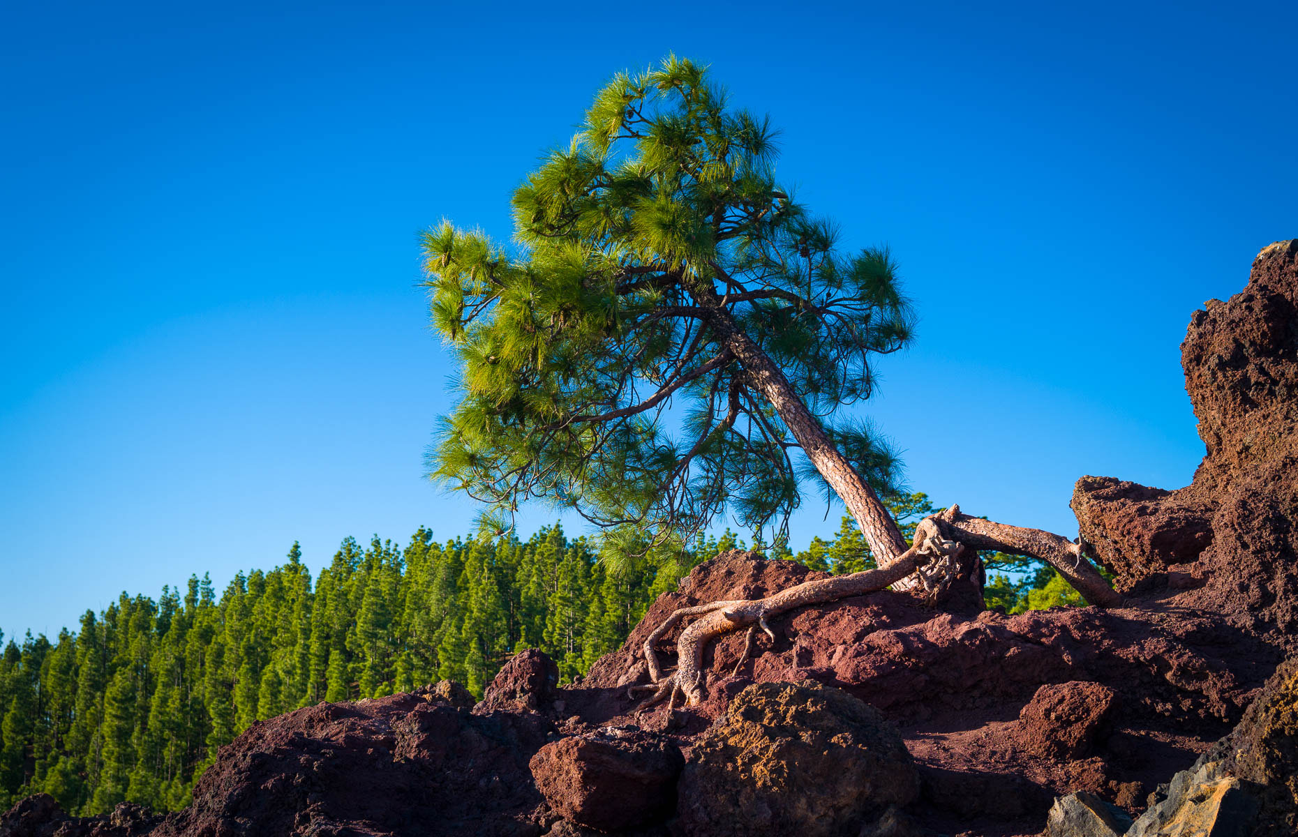 Pentax 645D sample photo. On the edge photography