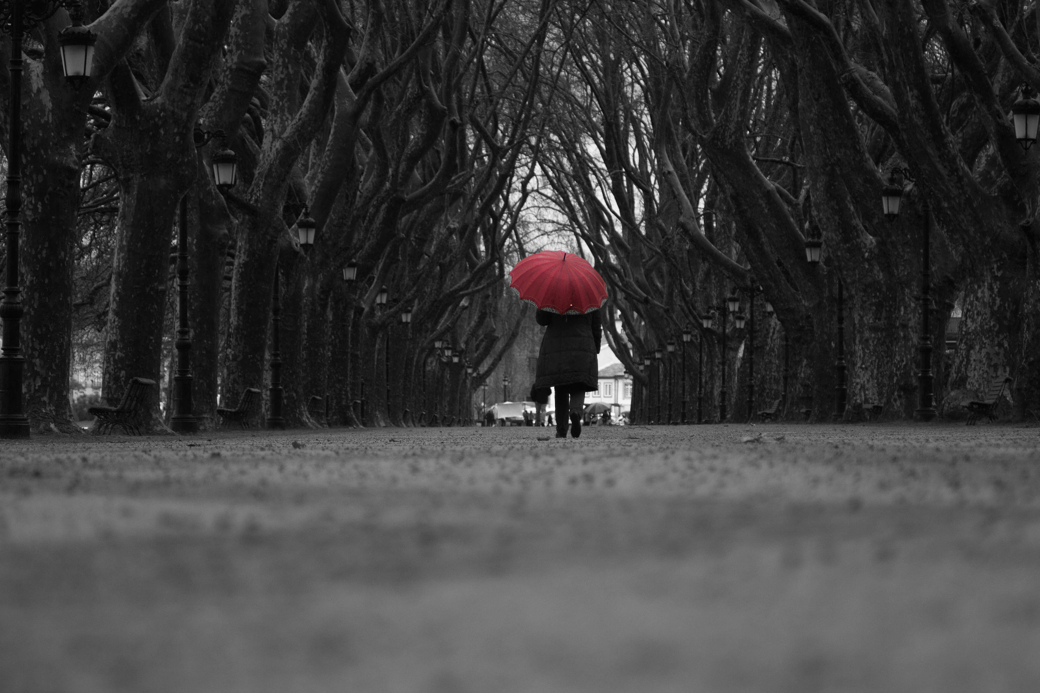 Canon EOS 600D (Rebel EOS T3i / EOS Kiss X5) + Canon EF 70-210mm f/4 sample photo. Dias cinzentos photography