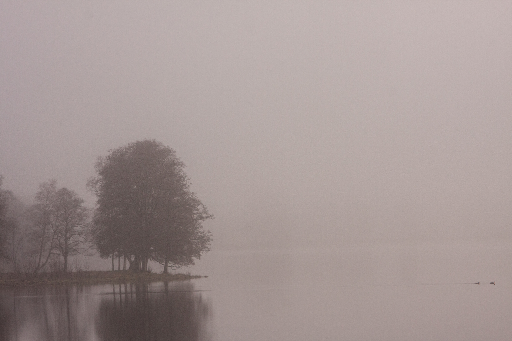 Canon EOS 40D + Tamron AF 28-300mm F3.5-6.3 XR Di VC LD Aspherical (IF) Macro sample photo. A foggy day at lake sävsjön photography