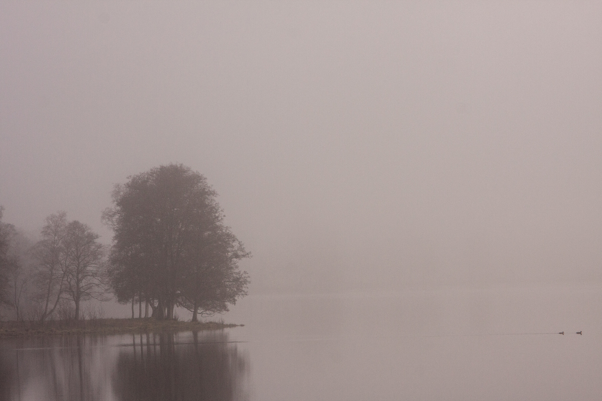 Canon EOS 40D sample photo. A foggy day at lake sävsjön photography