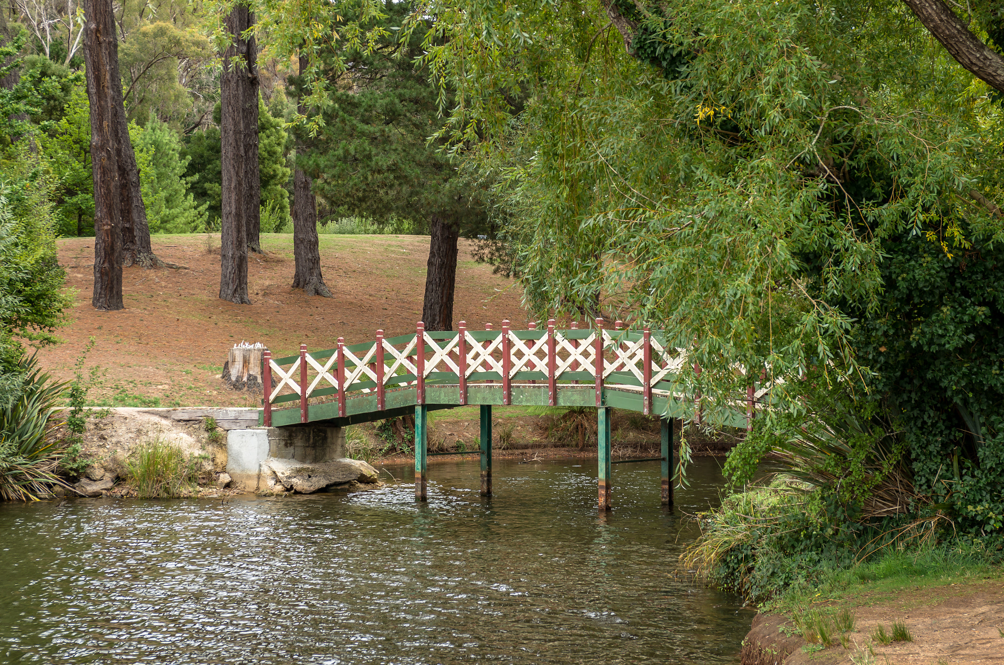Pentax smc DA 17-70mm F4.0 AL (IF) SDM sample photo. Daylesford vic photography