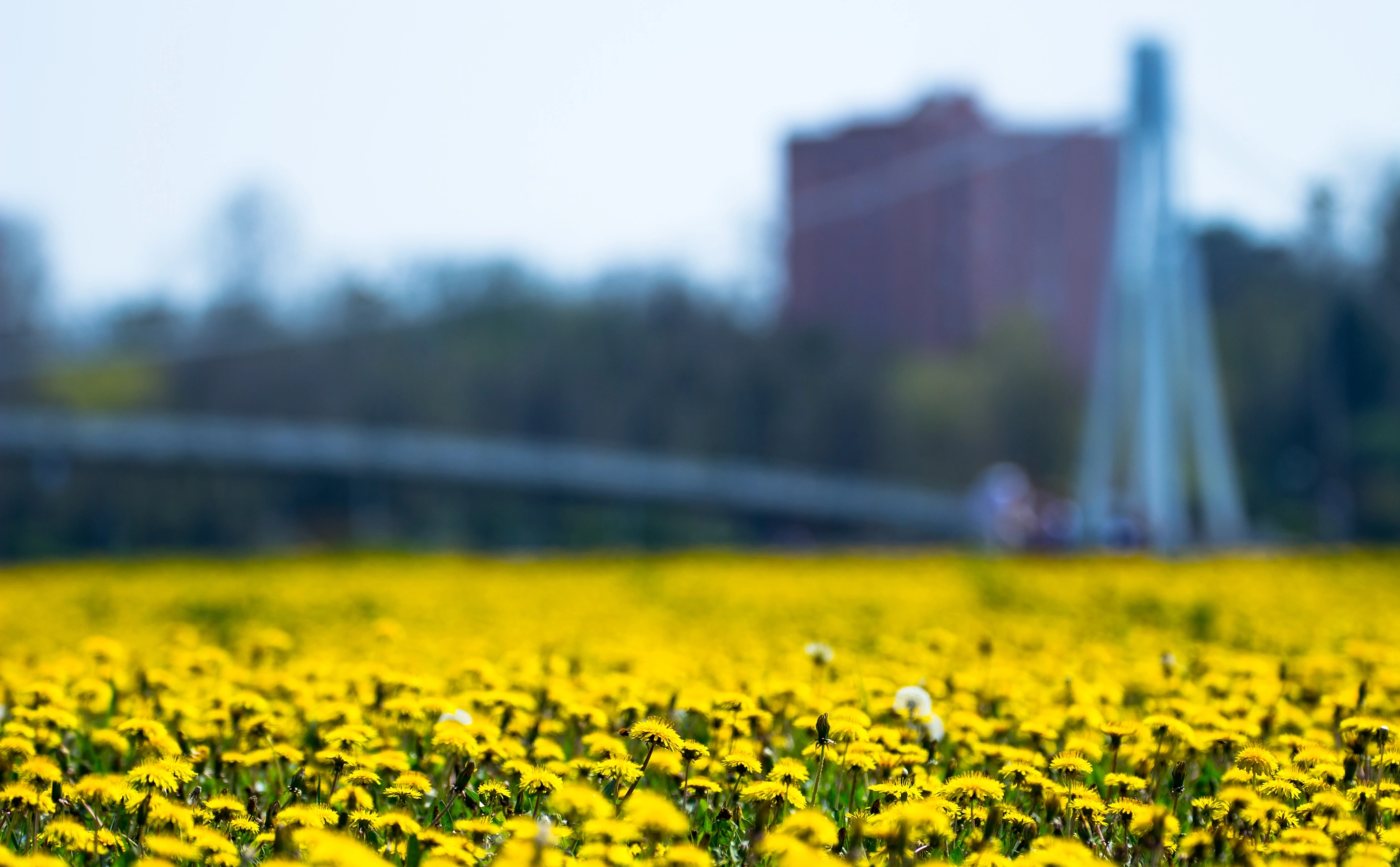 Canon EF 70-300mm F4-5.6L IS USM sample photo. Yellow bridge photography