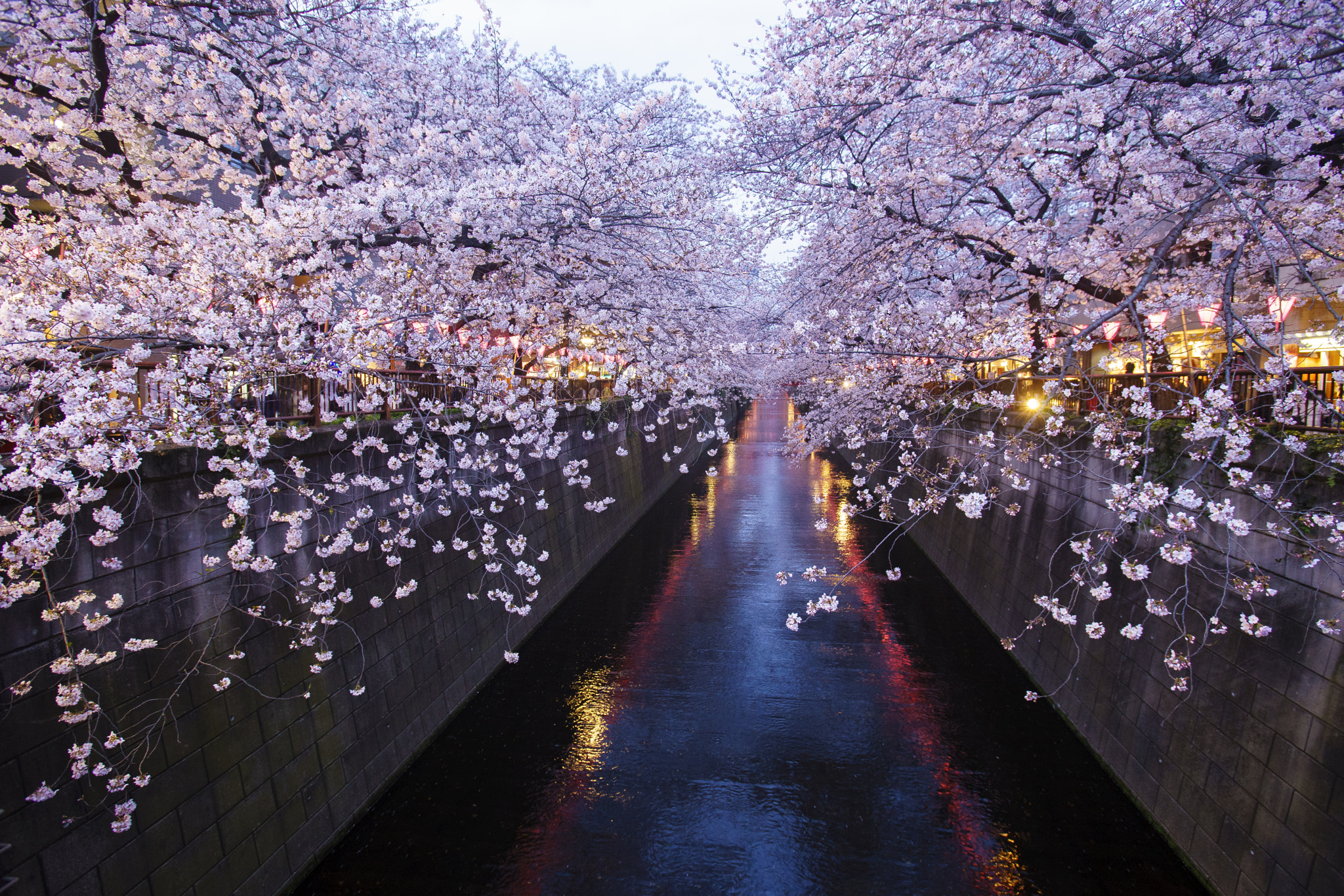 Sony a7 + Canon EF 16-35mm F2.8L USM sample photo. Japan photography