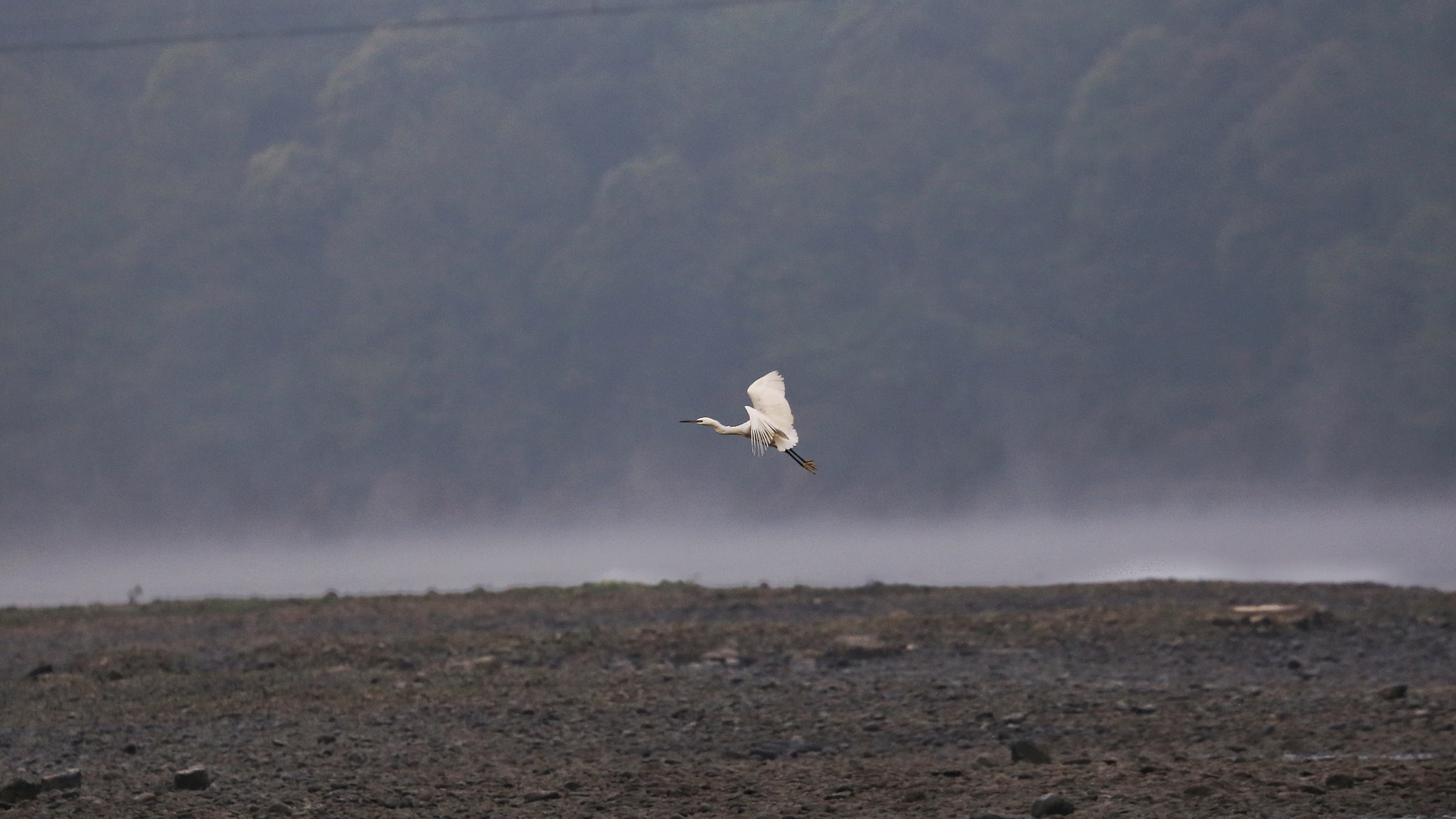 Canon EF 70-300mm F4-5.6L IS USM sample photo