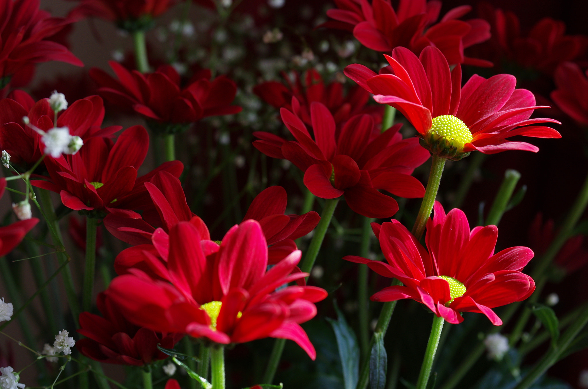 Pentax K-5 + HD Pentax DA 40mm F2.8 Limited sample photo. A perfect imprefection photography