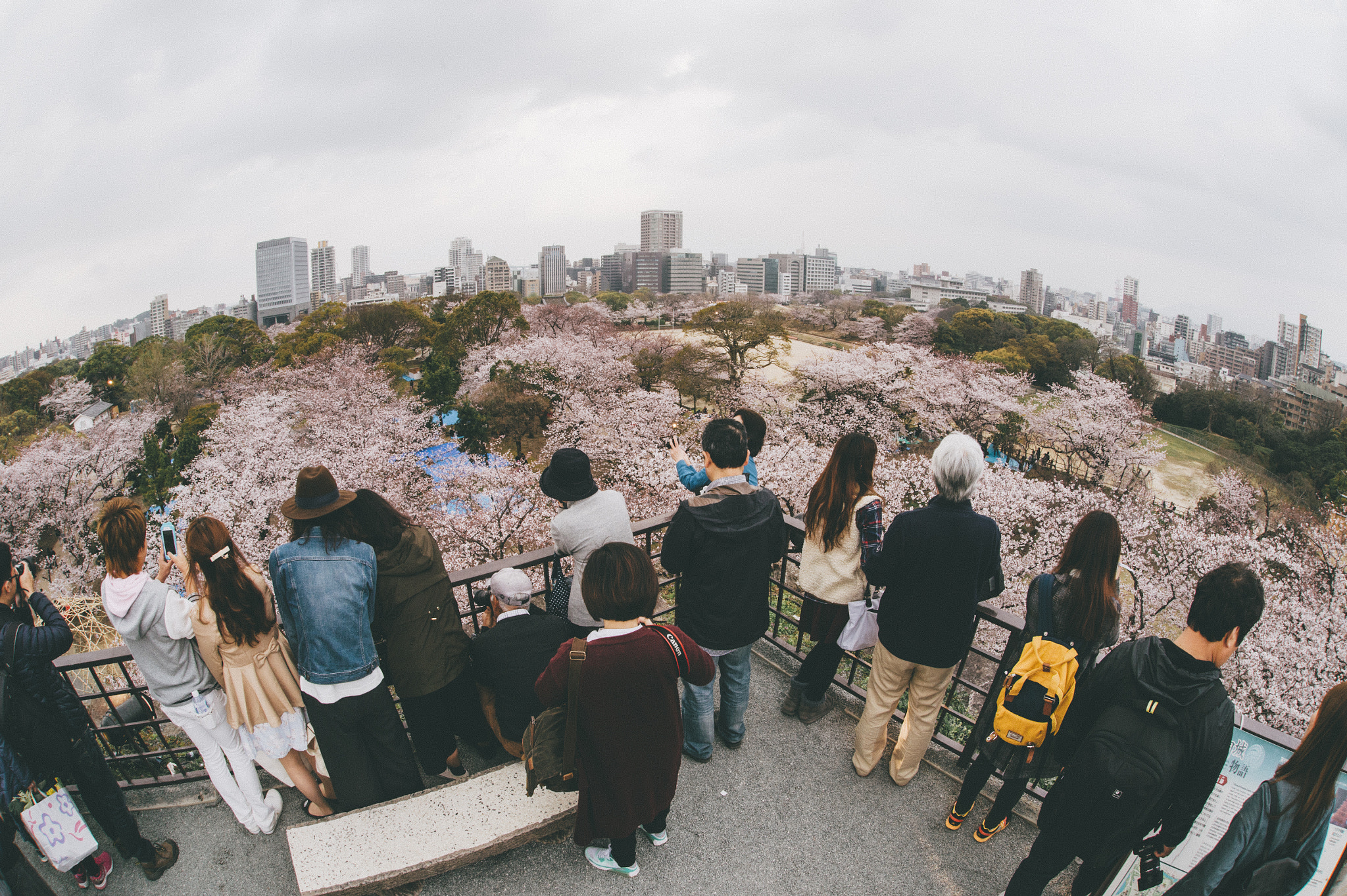 Nikon Df + Sigma 15mm F2.8 EX DG Diagonal Fisheye sample photo. Untitle photography