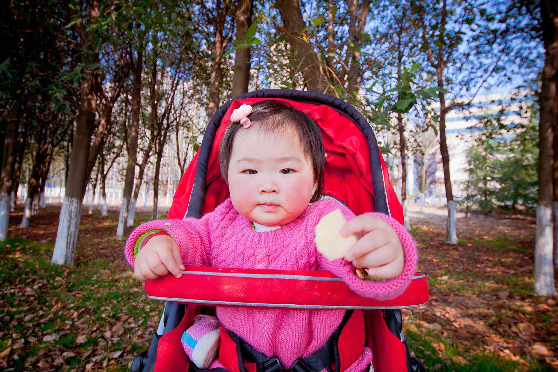 Sigma 12-24mm F4.5-5.6 II DG HSM sample photo. Happy birthday to yang photography