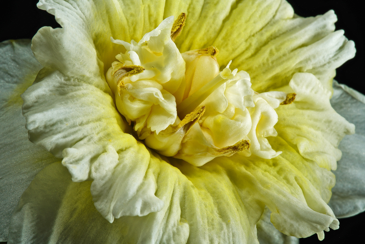 100mm F2.8 SSM sample photo. Chaotic photography