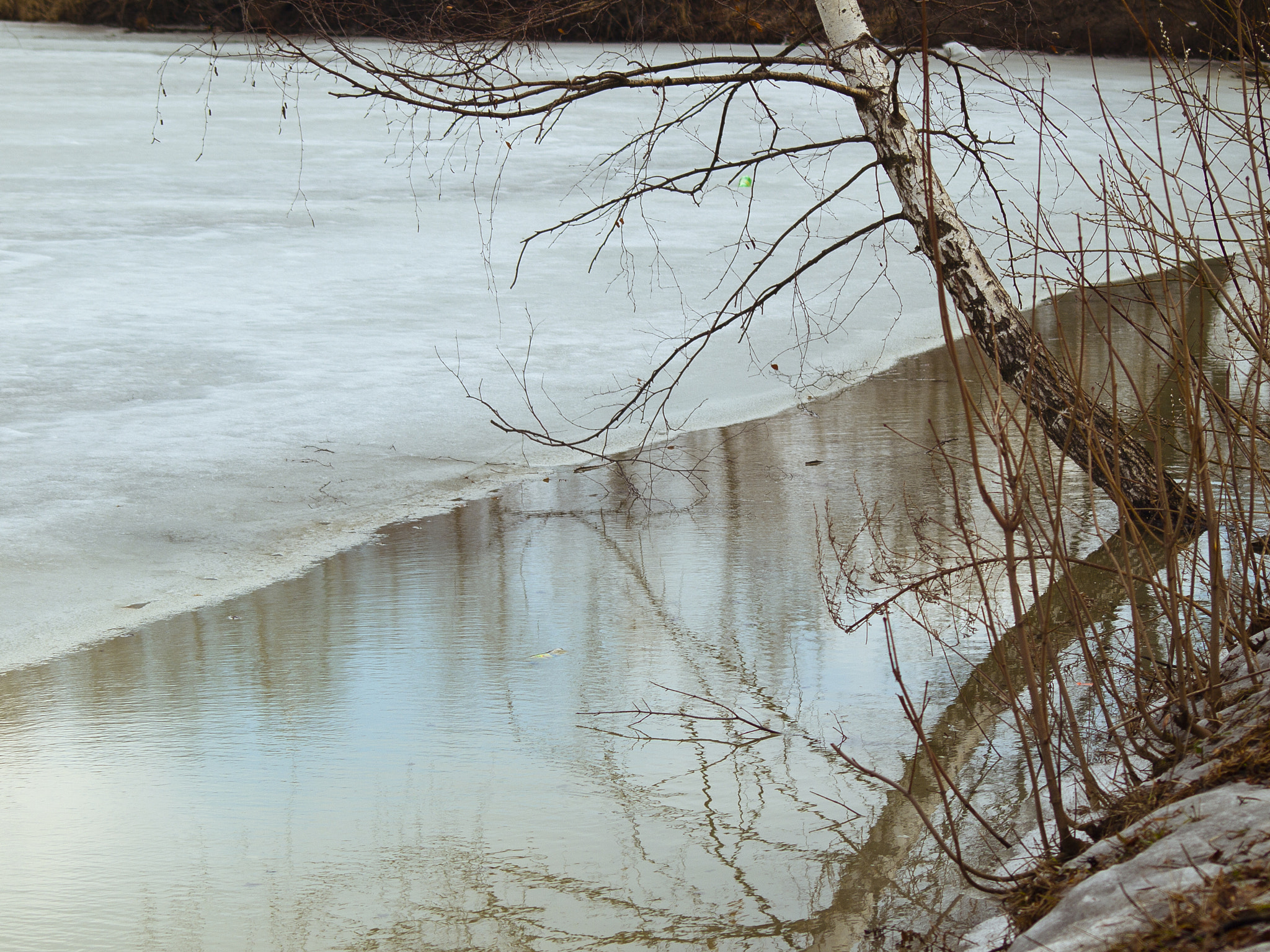 Olympus Zuiko Digital ED 70-300mm F4.0-5.6 sample photo. Spring is almost here photography