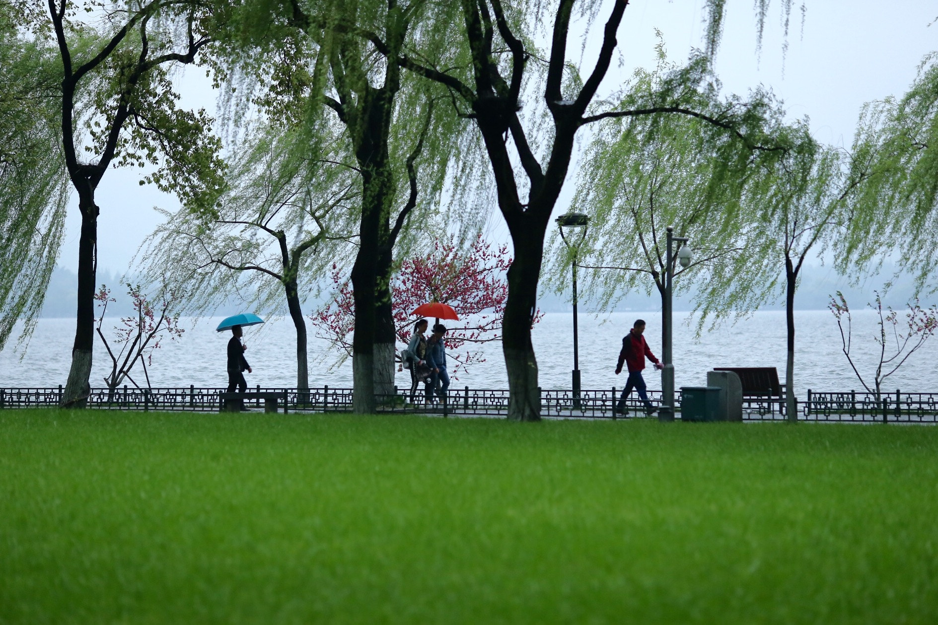 Canon EF 135mm F2L USM sample photo