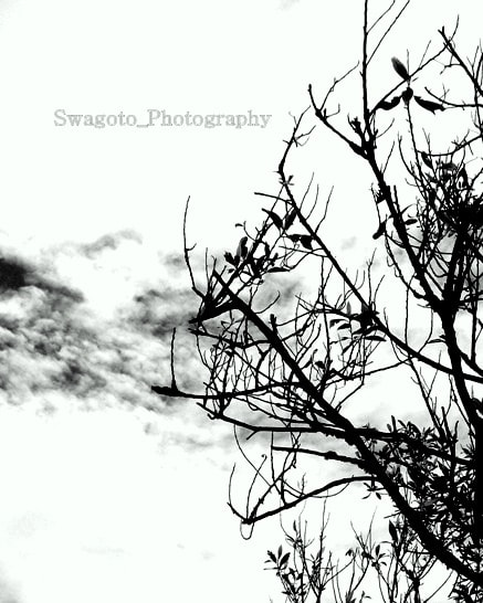 Kodak EASYSHARE C182 DIGITAL CAMERA sample photo. "gloomy" photography