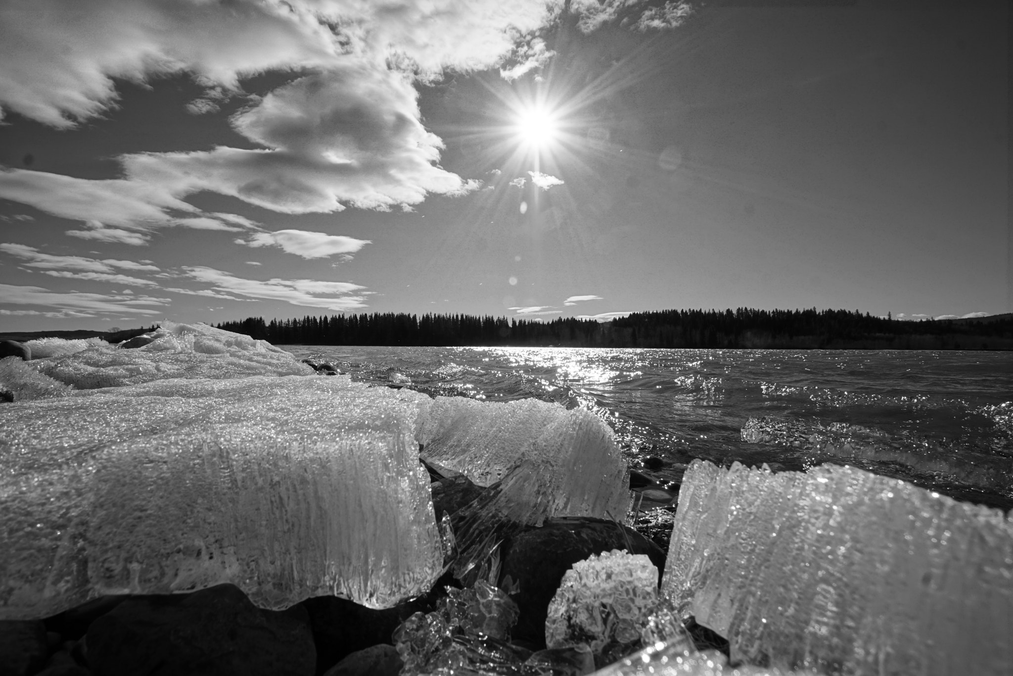 DT 10-24mm F3.5-4.5 SAM sample photo. Just outside morely alberta photography